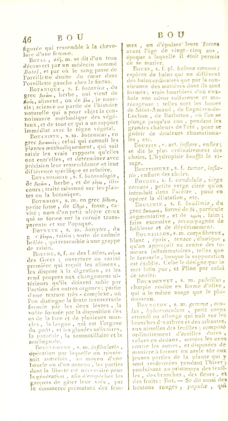 figiir('r‘ qui rosspmble à la clieve- liirc (l’une Icnime. Botai. , adj. in. se dit d’un trou découvert ]>ar un médecin uoninié BolaK et par où le sang passe de l’oreilletle droite du cœur dans l’oreillette gauche che-/, le lœtus. Botanique , s. i. botanica , du grec fiiTam , herbe , qui vient de fiijk, aliment , ou de Ulu , je nour- ris ; scient c ou partie de l’instoire naturelle qui a pour objet la con- noissance méthodique des végé- taux ,ct de tout ce qui a un rapjiort immédiat avec le règne végétal. Botanisi'e , s. m. botanicus^, en srcc ; Celui (^ui connoît les plantes méthodiquement, qui sait saisir les vrais rapports qu'el.es ont entr’clles, et déterminer avec précision leur ressemblance (it leur dit'iércncc spécifique et relative. Botanouogte , s. 1'. botnuologia , de fiizàn , herbe , et de , dis- cours ; traité raisonné sur les plan- tes ou la botanique. Botheion, s. m. en grec petite fosse , de Êsîçor, fosse , ca- vité-, nom d’un petit ulcère creux qui se forme sur la cornée trans- parente et sur l’opaque. PoTBYTE , s. m. botryles , du C, r jSorpvç, raisin ; sorte de cadmie iirèlée , (pii ressemble à une grappe de raisin. _ Bouche, s, f. os des T atins, nlu» des Grecs ; ouverture ou cavité première qui rectoit les alimens , les dispose à la 'digestion , et les rend propres aux changemens ul- térieurs nii’ils doivent subir par l’action dés autres organes ; partie d’une texture très - complexe , où l’on distingue la fente transversale 1'ormè‘C par les deux lèvres , la voète fornice par l.a disposition des os de la face et de plusieurs mus- cles , la langue , qui est 1 org.iuc du goèf . pf les glandes saliv aires, la ]iarotide, la souinaxillairc et la soulingmile. Boi ( T.i viFNT , s. ni. infihulatio , opération par laquelle ou réniiis- soit autK'fois, au inoven d’iino boucle ou d’un anneau . les parties dont la liluMtéi>f necessaire pour la uénératiiul . afin d'empi'rlier les garçons de gâter leur voix , par le commerce piéiuaturo des Iciu- B O U mes , on d’épuiser' lenrs 'forcei avant l’âge de vingt-cinq ans, époque a laquelle il étoit jiermii de se marier. Boues , s. f. pi. balnea cœnosa ; espèces (le bains qui ne dilfèn-nt des bainsordiiiaires que par la con- sistance des matières dcjnt ils sont formés-, vrais bourbiers o’où s’ex- hale une odeur sulfureu‘e et ma- réc.igc-iise ; telles sort les boue? de Saint-.Amand . (le Bagntres-de- Liiclion , de Barbotan , où l'on se ]>longe jusqu’au cou , pendant les grandes chaleurs de l’été , ]>our se guérir de douleurs rhumatisma- les , etc. Bouffie ,v. act. inflare , enfler; se dit le plus crdiiiairemeni des chairs. L’bydropisie bouffit le vi- sage. Bouffissure , s. f. tuner, infUi- tio , enflure des ch. irs. Bougie, s. f. candduJa , virgj. cereala , petite verge cirée qu'on introduit dans Tuiclre . pour en opérer la disatation, etc. Douuimie , s. f. boulimia , da grec é'5vAi.(e.ç, formé de !^i . particule aiigmcntative > et de >u/x£( , faim ; faim excessive , accompagnée de foiblesse et de dépérissement. BouRtn-i-OX, s. m. corps filireui, blanc , épais , tenace , élastique , qu’on apperçüit au centre des tu- meurs inflammatoires, telles que le luronde , lorsque la suppuration c.st ét.ibl'C. Celse le désigne-par le mot l.vtin pus, et Pline^^par celui de sanies. Bovrivonnet , s. m. piilnllus , rbarpie roulée en forme d'olive , qui a le même usage que le plu- masseau. llouRGEON , s. ni. gemma , ocu- liis , hybernaciiltim , petit corps arrondi ou allongé qui naît sur les branches d s arbres et des arbustes, aux .aisselles des Iciiilles ; composé ordinairement d’écaillcs dures , velues en dedans , serrée.s les unes nvnire les autK's, et disposées de manière .à lormer un asyle sûr .aux jeunes parties de la plante qui y sont reulcrmces pendant l'iiiver ; produisant au nrinicmps des letiil- les , des l'ranclics . des fleurs , et (les fruits : Bot. — Se dit aussi des boutons rouges , papulœ , qui