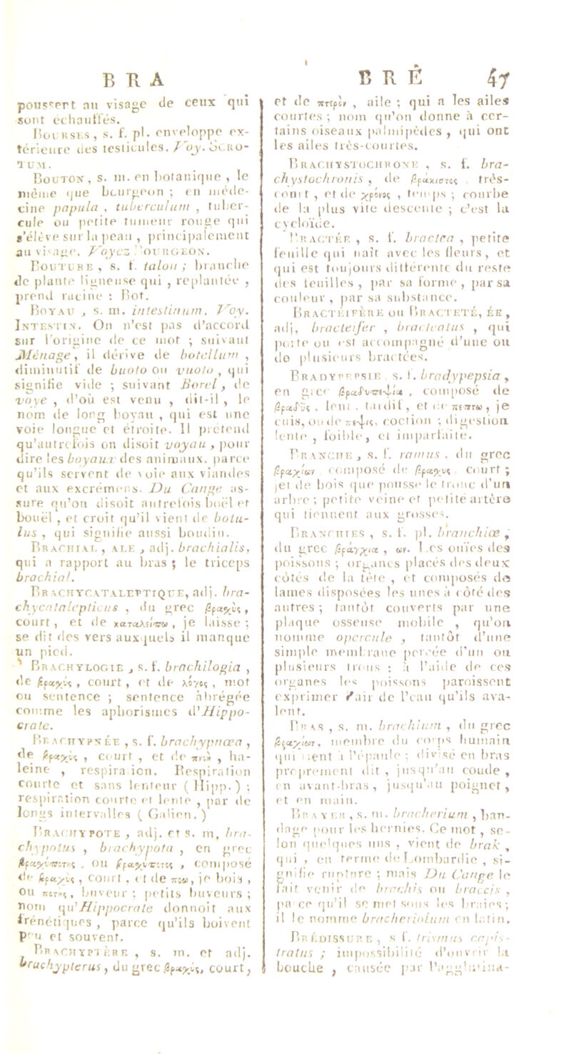 poiis'^prt nn visage de ceux qui sont ècliaiitïés. Houusks, s. f. pi. enveloppe ex- térieure lies lesiiculcs. 7 üj. ooHü- lüM. Bouton, s. ni. en boianiqiie , le inôiiie que bciii'geon ; en méde- cine papiila , tabcrculum , tul-cr- cule ou petite tumeur rouge qui s’élève sur la ])eau , principaleincnt au vi'age. ”oui!Oi:ON. l’ouTUKE, s. t. lalüii ; liranelie de plante liuiieuse qui , re()laiiiée , preiul ratine : Bot. Boy.w , s. ni. inteitinum. 7'oy. Intestin. On n’est pas d’accord sur l’origine de te mot ; suivant jtlénage, il rlérive de botcllinn , diiniiiulit' de biioto ou l’iiolo , qui signifie vide ; suivant Bord, do vnye , d’où est venu , dit-il , le nom de long boyau , (]ui est une voie longue et étroite. Il lueteud qu’aulrtidis on di.soit voyau,pou\' dire les/loynitr des animaux, parte qu’ils servent de \oie aux viandes et aux excrémens. Du Cange as- .sure qu’on disoit aulrerois boël et Ixniél , et croit (|u’il vient de bolu- lus , qui sigiiilie aussi boudin. BB.vriiiAi. , .VUE J ailj. brachialis, qui a rapport au bras ; le triceps brachia!. Bb VCHYCATALETTrQrE, ad). hrO- chycntnlcpticiis , ilu grec /Sfajrùç, court, et de xaroMl-cu , je laisse; se dit fies vers aux quel» il manque un pied. ' Brachylogie j r. t'. brochilogia , de jEpaj'iv , court, et fie xéveç, mot ou sentence ; sentence hlirégée comme les apliorismcs d'IIippo- ciatc. Br.ArttYPNÉE , s. f. brachypnœa , de , cimi t , et de itr.» , ha- leine , respira icn. Bespimlion courte et sans lerdenr ( Ilipp.) ; respiration courte et lente , par de longs inlerv.illes ( (îalien. ) B R.Vf :it Y POTE , adj. ers. ni. bra- chypoius , biachypola , en grec , on /tfœj-v'v'.nt . composé <le tfa.yi.ii , coiii I , ( t (Ic mu, je bois , Ou ncri.^, buveur; petits buveurs; ttoni c^n'Hippocrole donnoit aux lrénéti'|ues , parce qu’ils boivent P'i et souvent. Bbaoiiypière , s. in. et adj. ruchypierus , du grec court, B R Ê et (le srrtptr , aile ; qui a les aile* courtes ; nom qii’oii tlorine à cer- tains oiseaux palmipèdes , «lui ont les ailes Irès-tonites. Brachîstociihone , s. i. bra- chystochrouis , de (SpéKintev trés- f onit , et (le ;rpsm , temps ; tourbe de la plus vile descente ; c’est la cvcloïiie. I'ractée , s. t'. hrneten , petite féiiillc (|iii naît avec les (leurs , et qui est toujouis ililtéienit du reste des teuilles , par sa lorme , par sa couleur , par sa substance. Bractéifère on Brac i été, ée , adj, brncteifcr , brartcalus , qui poiie on ' SI a< (oni()agiié d’une ou ilo plusieurs brat tees. Br AOYPEPsiE s. \. brmlypepsia y en gic . coni|)Osé de ÆpaiTijç . lent. I.iulil, et i.c tu uru, je cuis, ou de 7r«4u- eoclion ; iligeslioii leiile , loible, cT ini])arlaile. Br vNCiTE , s. f’. raanis . du grec lifayjut composé di' cmirt ; jet lie bois ([ne pniissi* le lioiic d'iiti arbre; petite veine et petite artère qui tiennent aux grosses. BRANf iiiES , S. 1. ])l. l)raiic!uæ f du grec ^fàyyia , ut. 1 CS ouïi's de* [loissoiis ; organes placés des deux cotés de la tète , et conijiüsés de lames disposées le.s unes à ( ôté des antres ; tantôt coiiveiTs par une plaque osseuse mobile , qu’oii nomme opercule , tantôt d’une simple ineinl rane percée irmi ou phisienrs lions : à l’aide de ces organes les poissfvns [larnissent exprimer l'air de l’can qu’ils ava- lent. Btivs , s. ni. brachiuui , du grec t^ay'iui. membre du co’jis liumaiu qiii'i-.ent I ré|!aiile •- divisé en bras piT|)rem(Til dit, jusqu’au eouile , (Il avant-bras, jusqu’.ui poignet, et en main. Bp. \ V EU , s. m. bmchcriuni , lian- dnge pour li-s bernies. Ce mot , se- lon fpielqiies uns , vient de brak , qui , en terme di‘I.oinbardie , si- gnifie rnntnrc ; mais Du (.'a/i/je le fait venir de biac/tis ou b rat ci s-, pa ce ([II’il se met sous les braies; il le noinitie ùrachriioiii/n en latin. BrÉdiSSURE, s l.lrismus r.(rpi\- tratiis ; iuipossibiiilé d’ouvrir la bouche , causée par l’agglu'iiia-