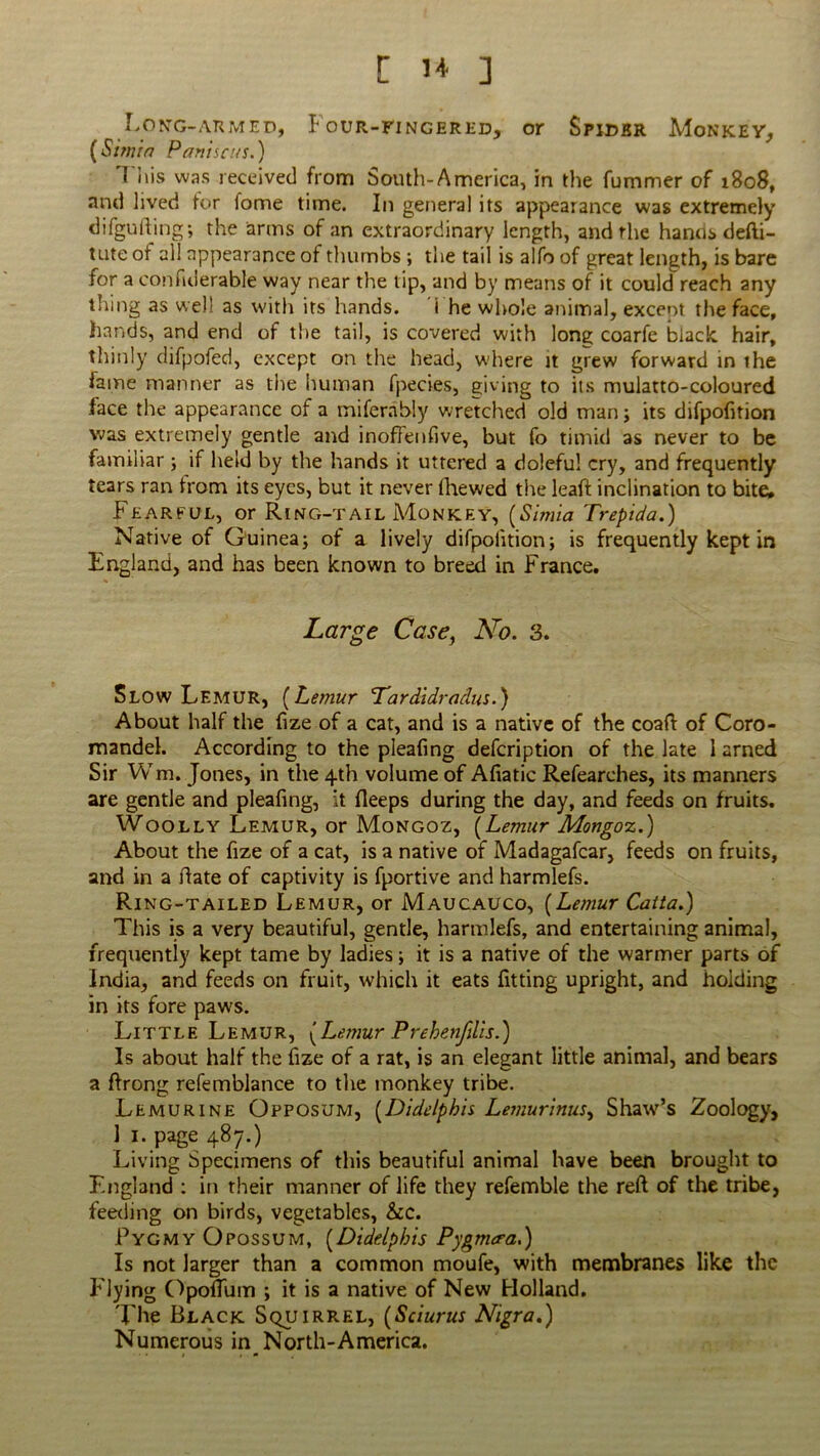 Z J+ ] I-ONG-ARMED, F OUR-FINCERED, or SpiCBR MoNKEY, (Simit7 P anise us.) This was received from South-Amcrica, in the fummer of 1808, and lived tor fome time. In general its appearance was extremely difgufting; the arms of an extraordinary length, and the hanos defti- tute of all appearance of thumbs ; the tail is alfo of great length, is bare for a confulerable way near the tip, and by means of it could reach any thing as well as with its hands. i he whole animal, exceot the face, hands, and end of the tail, is covered with long coarfe black, hair, thinly difpofed, except on the head, where it grew forward in ihe fame manner as the human fpecies, giving to its mulatto-coloured face the appearance of a mifernbly wretched old man; its difpofition was extremely gentle and inoffenfive, but fo timid as never to be familiar ; if held by the hands it uttered a doleful cry, and frequently tears ran from its eyes, but it never (hewed the leaft inclination to bite. Fearful, or Ring-tail Monkey, {Simla Trepida.) Native of Guinea; of a lively difpolition; is frequently kept in England, and has been known to breed in France. Large Case, No. 3. Slow Lemur, {Lemur Lardidradus.) About half the fize of a cat, and is a native of the coaft of Coro- mandel. According to the pleafing defeription of the late 1 arned Sir Wm. Jones, in the 4th volume of Afiatic Refearches, its manners are gentle and pleafing, it fleeps during the day, and feeds on fruits. Woolly Lemur, or Mongoz, {Lemur Mongoz.) About the fize of a cat, is a native of Madagafcar, feeds on fruits, and in a date of captivity is fportive and harmlefs. Ring-tailed Lemur, or Maucauco, {Lemur Catta.) This is a very beautiful, gentle, harmlefs, and entertaining animal, frequently kept tame by ladies; it is a native of the warmer parts of India, and feeds on fruit, which it eats fitting upright, and holding in its fore paws. Little Lemur, {Lemur Prehenfilis.) Is about half the fize of a rat, is an elegant little animal, and bears a ftrong refemblance to the monkey tribe. Lemurine Opposum, {Didelphis Lemurinus, Shaw’s Zoology, 1 1. page 487.) Living Specimens of this beautiful animal have been brought to England : in their manner of life they refemble the reft of the tribe, feeding on birds, vegetables, &c. Pygmy Opossum, {Didelphis Pygmeea.) Is not larger than a common moufe, with membranes like the Flying Opoftum ; it is a native of New Holland. The Black Squirrel, {Sciurus Nigra.) Numerous in North-America.