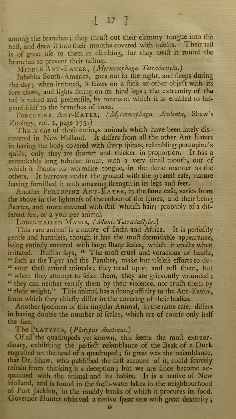 among; the branches; they thruft out their clammy tongue into the ned, arid draw it into their mouths covered with infects. Their tail is of great ufe to them in climbing, for they twift it round the branches to prevent their falling. Middle Ant-Eater, (Myrmecophaga Tetrad a fly la.) Inhabits South-America, goes out in the night, and lleeps during the day; when irritated, it feizes on a flick or other objeft with its fore claws, and fights fitting on its hind legs ; the extremity of tha tail is naked and prehenfile, by means of which it is enabled to fuf- pend itfeif to the branches of trees. Porcupine Ant-Eater, (Myrmecophaga Aculeata, Shaw’s Zoology, vol. i, page 175.) This is one of thofe curious animals which have been lately dis- covered in New Holland. It differs from all the other Ant-Eaters in having the body covered with lharp fpines, refembling porcupine’s quills, only they are fhorter and thicker in proportion. It has a remarkably long tubular fnout, with a very fmall mouth, out of which it (hoots its wormlike tongue, in the fame manner as the others. It burrows under the ground with the greateff eafe, nature having furnilhed it with amazing ffrength in its legs and feet. Another Porcupine Ant-Eater, in the fame cafe, varies from the above in the lightnefs of the colour of the fpines, and their being fhorter, and more covered with ftiff whitifh hair; probably of a dif- ferent fex, or a younger animal. Long-tailed APanis, (ManhTetradattyla.) This rare animal is a native of India and Africa. It is perfectly gentle and harmlefs, though it has the mod formidable appearance, being entirely covered with large (harp feales, which it eredls when irritated. Buffon fays, 44 The molt cruel and voracious of beads, 44 fuch as the Tiger and the Panther, make but ufelefs efforts to dc- 44 vour thefe armed animals; they tread upon and roll them, but 44 when they attempt to feize them, they are grievoufly wounded ; 44 they can neither terrify them by their violence, nor crufh them by 44 their weight.” This animal has a ftrong affinity to the Ant-Eaters, from which they chiefly differ in the covering of their bodies. Another fpecimen of this Angular Animal, in the fame cafe, dift'ei s in having double the number of feales, which are of courfe only half the fize. The Platypus, (Platypus Anatinus.) Of all the quadrupeds yet known, this feems the mod: extraor- dinary, exhibiting the perfect refemblance of the Beak of a Duck engrafted on the head of a quadruped; fo great was the refemblance, that Dr. Shaw, who publiffted the firft account of it, could fcarcely refrain from thinking it a deception; but we are fince become ac- quainted with the animal and its habits. It is a native of New Holland, and is found in the frefh-water lakes in the neighbourhood of Port Jackfon, in the muddy banks of which it procures its food. Governor Hunter obferved a native fpear one with great dexterity j D