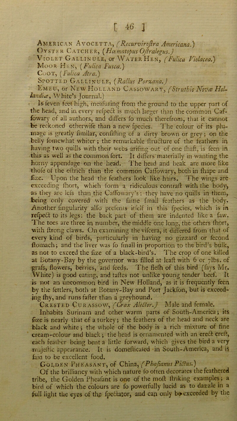 American Avocetta, (Recurvirojlra Americana.) Oyster Catcher, (Hazinatopus GJlralegus.) Violet Gallinule, or Water'Hen, (Fulica Violacca.) M dor Hen, {Fulica Fuse a.') CuOT, (Fulica Atra.) Spotted Gallinule, (Ra/lus Porzana.) Emeu, or New Holland Cassowary, (Struthio Nova Hcl- landitz, W bite’s Journal.) Is feven feet high, meafuring from the ground to the upper part of the head, and in every refpeef is much larger than the common Caf- fowary of all authors, and differs fo much therefrom, that it cannot fee reckoned otherwife than a new l'pecies. The colour of its plu- mage is greatly fimilar, confiding of a dirty brown or grey; on the belly fomewhat whiter; the remarkable ftruihire of the feathers in having two quills with their webs arifing out of one fhaft, is feen in this as well as the common fort. It differs materially in wanting the horny appendage on the head. The head and beak are more like thofe of the cftrich than the common Caffowary, both in fhape and lize. Upon the head the feathers look like hairs. The wings are exceeding fhort, which form a ridiculous contrail with the body, as they are lels than the Caffowary’s: they have no quills in them, being only covered with the fame fmall feathers as the body. Another Angularity alfo prefents itfelf in this lpecies, which is in refpedl to its legs: the back part of them are indented like a faw. The toes are three in number, the middle one long, the others fhort, with ftrong claws. On examining thevifeera, it differed from that of every kind of birds, particularly in having no gizzard or fecond ftomach; and the liver was fo fmall in proportion to the bird's bulk, as not to exceed the fize of a black-bird’s. 7he crop of one killed at Botany-Bay by the governor was filled at lead with 6 or ylbs. of grafs, flowers, berries, and feeds. The fielh of this bird (fays Mr. White) is good eating, and taftes not unlike young tender beef. It is not an uncommon bird in New Holland, as it is frequently feen by the fettlers, both at Botany-Bay and Port Jackfon, but is exceed- ing fhy, and runs fafter than a greyhound. Crested Curassow, fCrax Ale A or.) Male and female. Inhabits Surinam and other warm parts of South-America; its fize is nearly that of a turkey; the feathers of the head and neck are black and white ; the whole of the body is a rich mixture of fine crearp-colour and black; the head is ornamented with an eredf crelt, each feather being bent a little forward, which gives the bird a very majeflic appearance. It is domefficated -in South-America, and is laici to be excellent food. Golden Pheasant, of China, (Phafianvs PiSlus.) Of the brilliancy with which nature fo often decorates the feathered tribe, the Golden Pheafant is one of the mod linking examples; a bird of which the colours are fo powerfully lucid as to dazzle in a full light the eyes of thp fpefclator, and can only b» exceeded by the