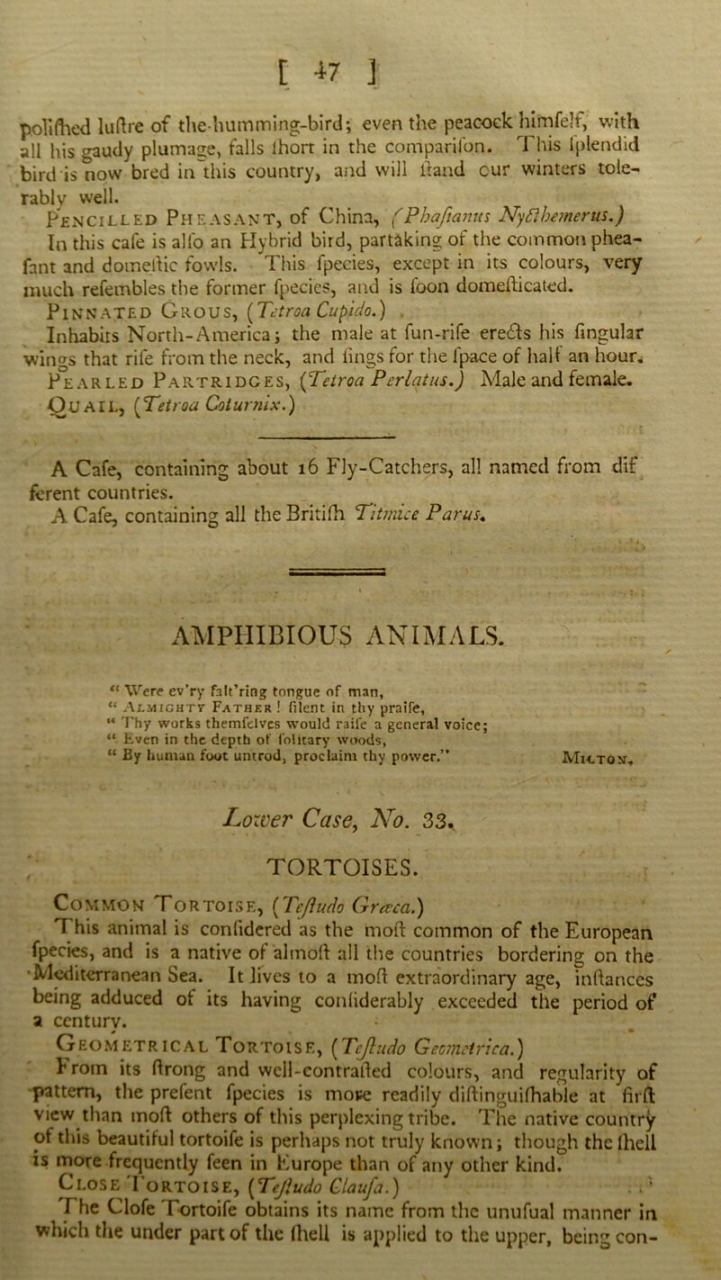 [ *7 | pofifhed lurtre of the humming-bird; even the peaooek himfelf, with all his o-audy plumage, falls lhorr in the companion. This fplendid bird is now bred in'this country, and will hand our winters tole- rably well. Pencilled Pheasant, of China, (Phafianus NyRhemerus.) In this cale is alfo an Hybrid bird, partaking of the common phea- fant and domedic fowls. This fpecies, except in its colours, very much refembles the former fpecies, and is foon domedicated. Pinnated G r o u s, (Tctroa Cupido.) Inhabits North-America; the male at fun-rife ere&s his fingular wings that rife from the neck, and lings for the lpace of half an hour.; Pearled Partridges, {Tetroa Perlqtus.) Male and female. Ouail, {Tetroa Coturnix.) A Cafe, containing about 16 Fly-Catchers, all named from dif ferent countries. A Cafe, containing all the Britifh Titmice Paras, AMPHIBIOUS ANIMALS. Were ev’ry falt’ring tongue of man, “ Ax-mightt Father ! filent in thy praife, ** Thy works themfdves would raile a general voice; “ Even in the depth of folitary woods, “ By human foot untrod, proclaim thy power.” MitTON, Lower Case, No. 33. TORTOISES. Common Tortoise, (TeJIudo Grata.) 1 his animal is conlidered as the mod common of the European fpecies, and is a native of almod all the countries bordering on the Mediterranean Sea. It lives to a mod extraordinary age, indances being adduced of its having conliderably exceeded the period of a century. Geometrical Tortoise, (Tcjhido Geomrtrica.) I rom its drong and weil-contraded colours, and regularity of pattern, the prefent fpecies is move readily didinguifhable at fird view than mod others of this perplexing tribe. The native country of this beautiful tortoife is perhaps not truly known; though the Ihell is more frequently feen in Europe than of any other kind. Close Tortoise, (Tejiudo Glaufa.) Fhe Clofe Tortoife obtains its name from the unufual manner in which the under part of the (hell is applied to the upper, being con-