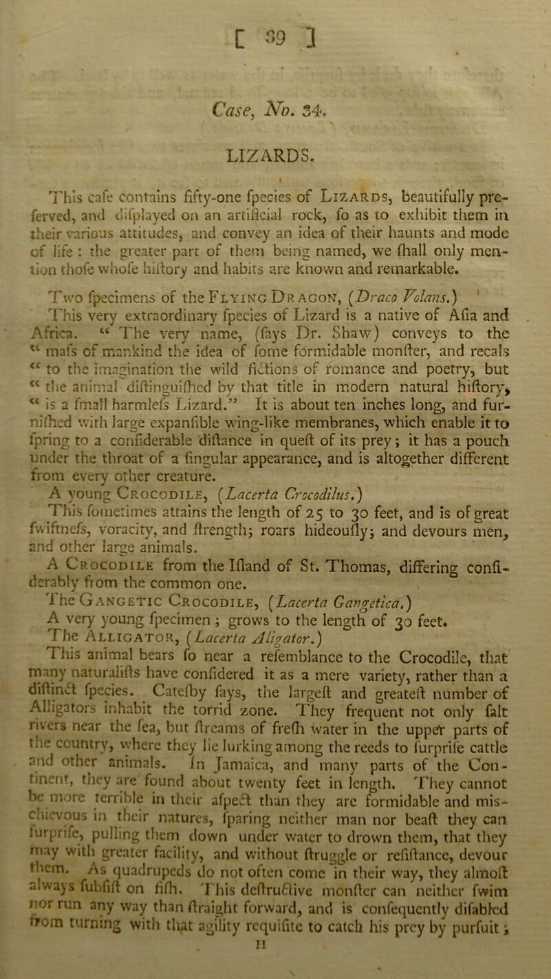 [ 39 ] Case, No. 34. LIZARDS. I \ - This cafe contains fifty-one fpecies of Lizards, beautifully pre- ferved, and difplayed on an artificial rock, fo as to exhibit them in their various attitudes, and convey an idea of their haunts and mode cf life : the greater part of them being named, we (hall only men- tion thofe whole hiftory and habits are known and remarkable. Two fpecimens of the Flying Dragon, (Draco Vclans.) This very extraordinary fpecies of Lizard is a native of Alia and Africa. “ The very name, (fays Dr. Shaw) conveys to the ct mat's of mankind the idea of fame formidable monfter, and recals cc to the imagination the wild fictions of romance and poetry, but £< the animal diftinguifhed by that title in modern natural hiftory* “ is a fmall harmlels Lizard.” It is about ten inches long, and fur- nilhed with large expanfible wing-like membranes, which enable it to fpring to a conuderable diftance in queft of its prey; it has a pouch under the throat of a Singular appearance, and is altogether different from every other creature. A young Crocodile, (.Lacerta Crocodilus.) This fometimes attains the length of 25 to 30 feet, and is of great fwiftnefs, voracity, and ftrength; roars hideouOyj and devours men, and other large animals. A Crocodile from the I (land of St. Thomas, differing conft- derably from the common one. 1 he Gangetic Crocodile, (Lacerta Gangetlca.) A very young Specimen; grows to the length of 30 feet. The Alligator, (Lacerta Aligator.) 1 his animal bears fo near a refemblance to the Crocodile, that many naturalids have confidered it as a mere variety, rather than a didinct fpecies. Catefby fays, the large!! and greateft number of Alligators inhabit the torrid zone. They frequent not only fait livers near the fea, but dreams of frefh water in the upper parts of tne country, where they lie lurking among the reeds to furprife cattle and other animals. in Jamaica, and many parts of the Con- tinent, they are found about twenty feet in length. They cannot be more terrible in their afpe£t than they are formidable and mis- chievous in their natures, (paring neither man nor bead they can furprife, pulling them down under water to drown them, that they may with greater facility, and without druggie or redftance, devour them. As quadrupeds do not often come in their way, they almoff always fubfid on d!h. This dedruflive monder can neither fwim nor run any way than draight forward, and is confequently difablal trom turning with tligt agility requifite to catch his prey by purfuit i 11