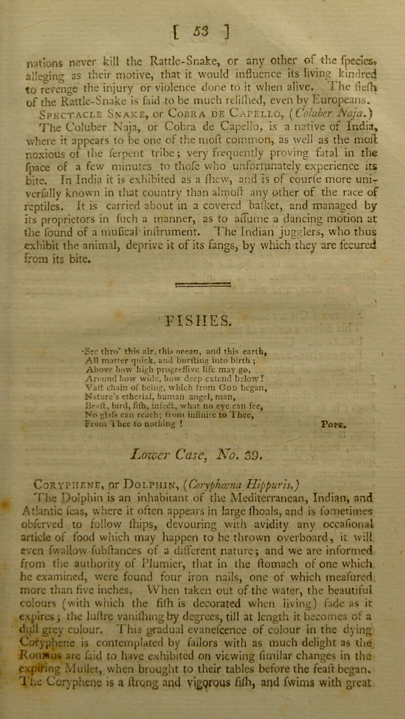 nations never kill the Rattle-Snake, or any other of the fpecies* alleging as their motive, that it would influence its living kindred to revenge the injury or violence done to it when alive. The fiefh of the Rattle-Snake is faid to be much relifhed, even by Europeans. Spectacle Snake, or Cobra de Capello, (Coluber JSlaja.) The Coluber Nnja, or Cobra de Capello, is a native of India, where it appears to be one of the mod common, as well as the moil noxious of the ferpent tribe; very frequently proving final in the fpace of a few minutes to thofe who unfortunately experience its bite. In India it is exhibited as a fhew, and is of courfe more uni- verfally known in that country than almofl: any other of the race of reptiles. It is carried about in a covered ballcet, and managed by its proprietors in fuch a manner, as to aflame a dancing motion at the found of a mufical inftrument. The Indian jugglers, who thus exhibit the animal, deprive it of its fangs, by which they are fecured from its bite. PISHES. 'See thro’ this air, this ocean, and this earth. All matter quick, and burfting into birth ; Above how high progreffive life may go, Around how wide, how deep extend below! Vatt chain of being, which from God began. Nature’s etherial, human angel, man, Bealt, bird, fifh, infedt, what no eye can fee, No ghfs can reach; from infinite to Thee, From Thee to nothing 1 Pope. Lower Case, At?. 39, CoRYPIIENE, or DoLPHZN, (Coryphcena Hippuris.) The Dolphin is an inhabitant of the Mediterranean, Indian, and Atlantic fcas, where it often appears in large fhonls, and is fometimes obftrved to follow fhips, devouring with avidity any occafional article of food which may happen to be thrown overboard, it will even fwallow fubftances of a different nature; and we are informed from the authority of PJumier, that in the ftomach of one which he examined, were found four iron nails, one of which meafured. more than five inches. When taken out of the water, the beautiful colours (with which the filh is decorated when living,) fade as it expires; the luflrc vaniflnngby degrees, till at length it becomes of a dull grey colour. This gradual evanel'cence of colour in the dying Cofyphene is contemplated by Tailors with as much delight as the Romans arc faid to have exhibited on viewing fimilar changes in the expiring Mullet, when brought to their tables before the feaft began. The Cor/phene is a flrong and vinous filh, and fwims with great