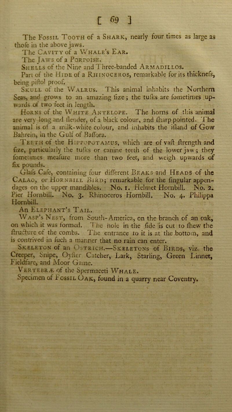 The Fossil Tooth of a Shark, nearly four times as large as thofe in the above jaws. The Cavity of a Whale’s Ear. The Jaws of a Porpoise. Shells of the Nine and Three-banded Armadillos. Part of the Hide of a Rhinoceros, remarkable for its thicknefs, being piftol proof. Skull of the Walrus. This animal inhabits the Northern Seas, and grows to an amazing fize; the tufks are fometimes up- wards of two feet in length. Horns of the White Antelope. The horns of this animal are very long and (lender, of a black colour, and (harp pointed. The animal is ot a milk-white colour, and inhabits the ifland of Gow Bali rein, in the Gulf of Baffora. Teeth of the Hippopotamus, which are of vaft ftrength and fize, particularly the tufks or canine teeth of the lower jaw ; they fometimes meafure more than two feet, and weigh upwards of fix pounds. Glals Cafe, containing four different Beaks and Heads of the Calao, or Hornbill Bird; remarkable for the fingular appen- dages on the upper mandibles. No. i. Helmet Hornbill. No. 2. Pier Hornbill. No. 3. Rhinoceros Hornbill. No. 4. Philippa Hornbill. An Elephant’s Tail. Wasp’s Nest, from South-America, on the branch of an oak, on which it was formed. The nole in the fide is cut to (hew the flruiture of the combs. The entrance to it is at the bottom, and is contrived in fuch a manner that no rain can enter. Skeleton of an Ostrich.—Skeletons of Birds, viz. the Creeper, Snipe, Oylier Catcher, Lark, Starling, Green Linnet, Fieldfare, and Moor Game. . , Vertebra of the Spermaceti Whale. Specimen of h gssil Oak, found in a quarry near Coventry.