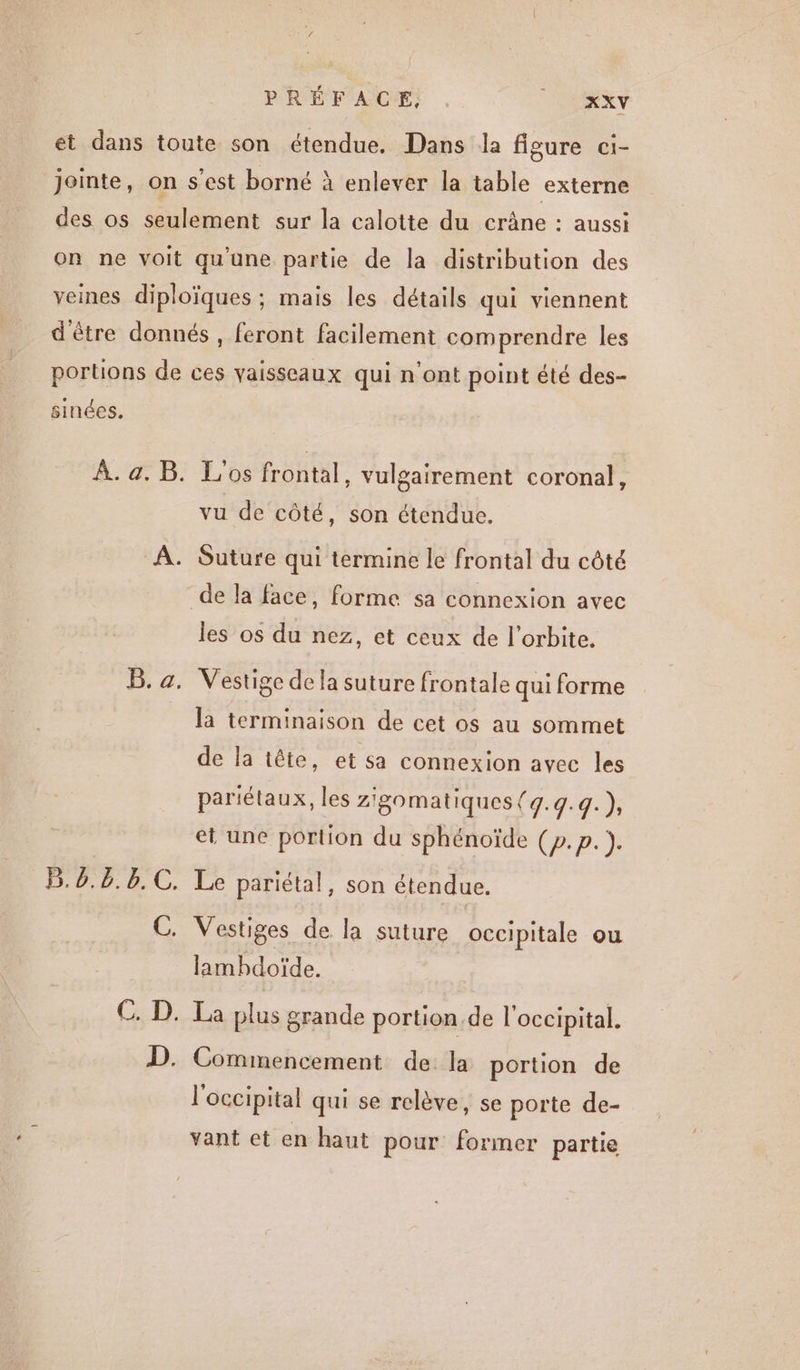 PRÉFACE, ARE sinées. À. a. B. A. B. a. B. 6.8. b.C. Los frontal, vulgairement coronal, vu de côté, son étendue. Suture qui termine le frontal du côté les os du nez, et ceux de l'orbite. Vestige de la suture frontale qui forme la terminaison de cet os au sommet de la tête, et sa connexion avec les pariétaux, les zZ'gomatiques (q.q.q.), et une portion du sphénoïde (p.p. * Le pariétal, son étendue. lambdoïde. Commencement de. la portion de l'occipital qui se relève, se porte de- vant et en haut pour former partie