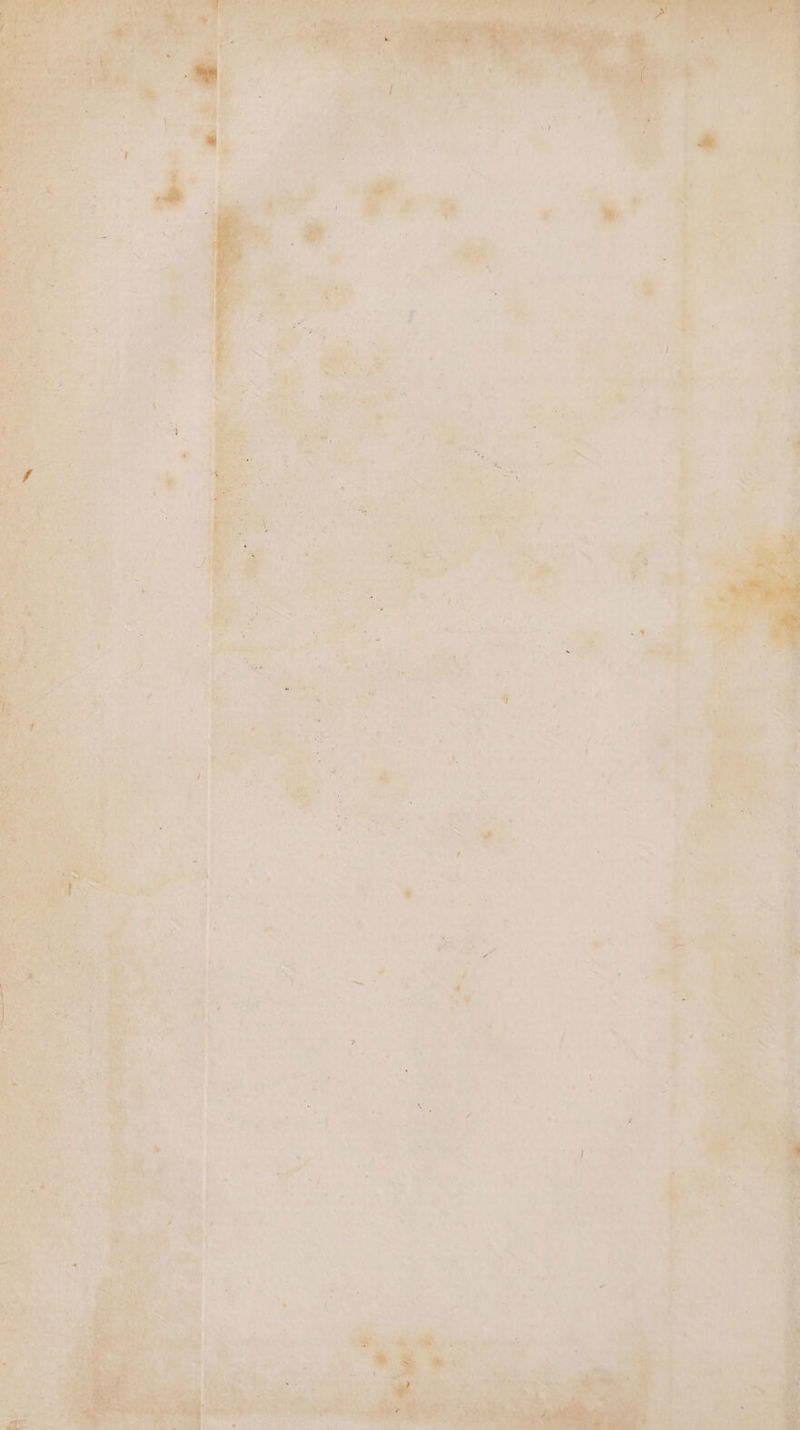 NT ASE : A Ps, # 1 MCE / EE CLR Fer 4