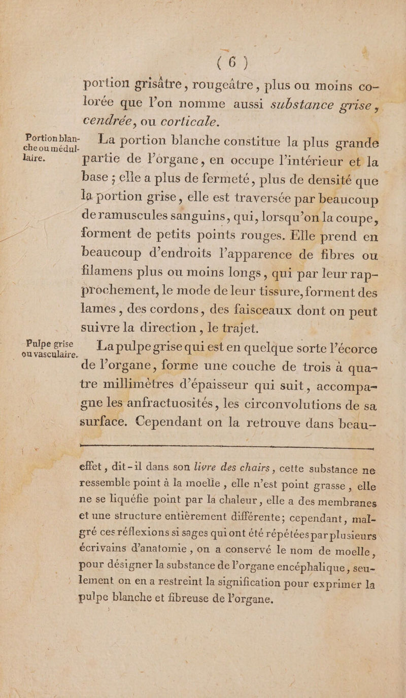 Portion blan- che ou médul- läire. Pulpe grise 7 60 portion grisâtre , rougeätre, plus ou moins co- lorée que lon nomme aussi substance grise, cendrée, ou corticale. | La portion blanche constitue la plus grande partie de Porgane, en occupe l’intérieur et la base ; clle a plus de fermeté, plus de densité que la LoniGe grise, elle est traversée par beaucoup de ramuscules sanguins , qui, lorsqu'on la coupe, forment de petits points rouges. Elle prend en beaucoup d’endroits l'apparence de fibres où filamens plus ou moins longs, qui par leur rap- prochement, le mode de leur tissure, forment des lames , des cordons, des faisceaux dont on peut suivre la direction , le trajet. | La pulpe grise qui est en quelque sorte l’écorce de l’organe, forme une couche de trois à qua- tre millimètres d'épaisseur qui suit, accompa- gne les anfractuosités, les RE de sa surface. Cependant on la retrouve dans beau- RE EE ER effet, dit-il dans son livre des chairs, cette substance ne ressemble point à la moelle , elle n’est point grasse , elle ne se liquéfie point par la chaleur, elle a des membranes et une structure entièrement différente; cependant, mal- gré ces réflexions si sages qui ont été répétées par plusieurs écrivains d'anatomie , on a conservé le nom de moelle, pour désigner la UE de l’organe encéphalique, seu- lement on en a restreint la signification pour exprimer la Her blanche et fibreuse de Porgane.