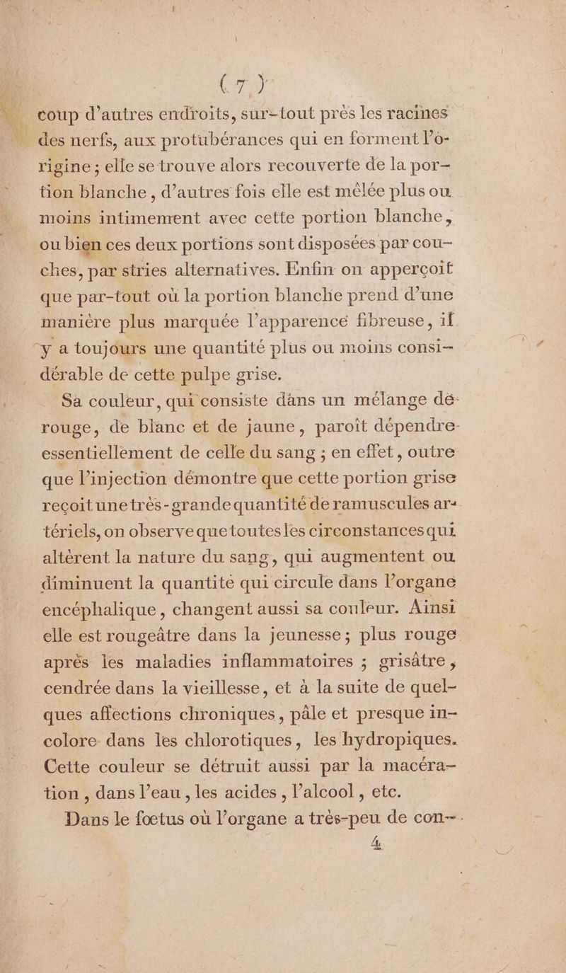 Cum? coup d’autres endroits, sur-tout près les racines | des nerfs, aux protubérances qui en forment lo- rigine ; elle se trouve alors recouverte de la por- tion blanche , d’autres fois elle est mêlée plus ou moins intimenrent avec cette portion blanche, ou bien ces deux portions sont disposées par cou- ches, par stries alternatives. Enfin on apperçoit que par-tout où la portion blanche prend d’une manicre plus marquée l’apparence fibreuse, 1f “y a toujours une quantité plus où moins consi- dérable de cette pulpe grise. | . Sa couleur, qui consiste dans un mélange dé: rouge, de blanc et de jaune, paroît dépendre- essentiellement de celle du sang ; en effet, outre que l'injection démontre que cette portion grise recoitunetrèés-grandequantité de ramuscules ar- tériels, on observequetoutesles circonstancesqui altérent la nature du sang, qui augmentent où diminuent la quantite qui circule dans l’organe encéphalique , changent aussi sa couleur. Ainsi elle est rougeätre dans la jeunesse; plus rouge après les maladies inflammatoires ; grisâtre, cendrée dans la vieillesse, et à la suite de quel- ques affections chroniques, pâle et presque in- colore dans les chlorotiques, les hydropiques. Cette couleur se détruit aussi par la macéra- tion , dans l’eau , les acides , l’alcool, etc. Dans le fœtus où l’organe a très-peu de con-. 4