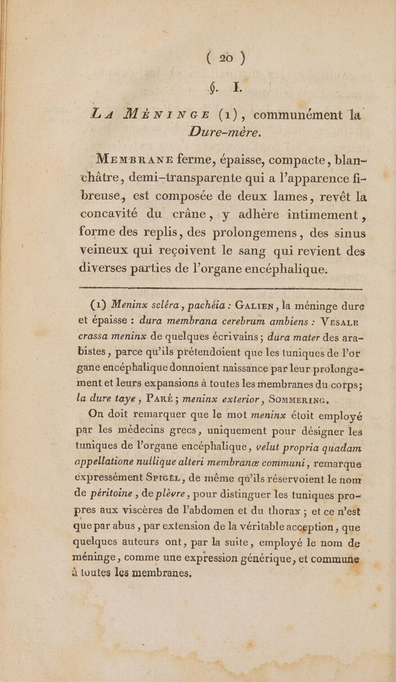 CN La MÉNINGE (1), communément la Dure-mère. MEmBRrANE ferme, épaisse, compacte, blan- châtre, demi-transparente qui a l’apparence fi- breuse, est composée de deux lames, revêt la concavité du crâne, y adhère intimement, forme des replis, des prolongemens, des sinus veineux qui reçoivent le sang qui revient des diverses parties de l’organe encéphalique. (1) Meninx scléra, pachéia : Gazren , la méninge dure et épaisse : dura membrana cerebrum ambiens : Vesarr crassa meninx de quelques écrivains ; dura mater des ara- bistes , parce qu’ils prétendoient que les tuniques de l’or gané encéphalique donnoient naissance par leur prolonge- ment et leurs expansions à toutes les membranes du corps; la dure taye , PARÉ ; meninx exterior, SOMMERING, On doit remarquer que le mot meninx étoit employé par les médecins grecs, uniquement pour désigner les tuniques de l'organe encéphalique, velut propria quadam appellatione nuilique alteri membranæ communi » remarque expressément SrIG£L, de même qu’ils réservoient le nom de péritoine , de plèvre, pour distinguer les tuniques pro- pres aux viscères de l’abdomen et du thorax ; et ce n’est que par abus , par extension de la véritable acception, que quelques auteurs ont, par la suite, employé le nom de méninge , comme une expression générique, et be à toutes Îles membranes,