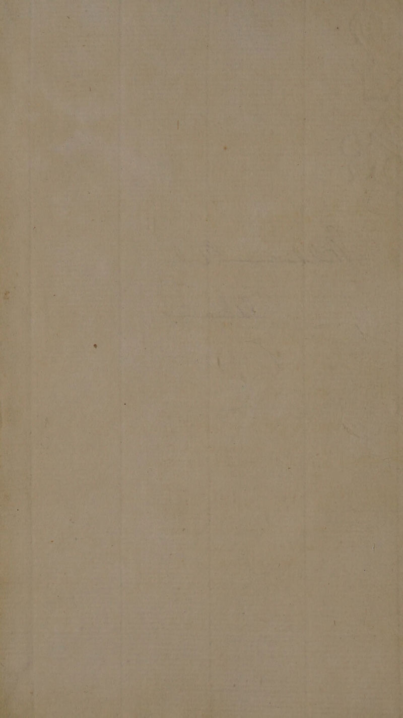 o. = + a wits at saa ¢ Ne ae Sg va a 4 Te ay pee me