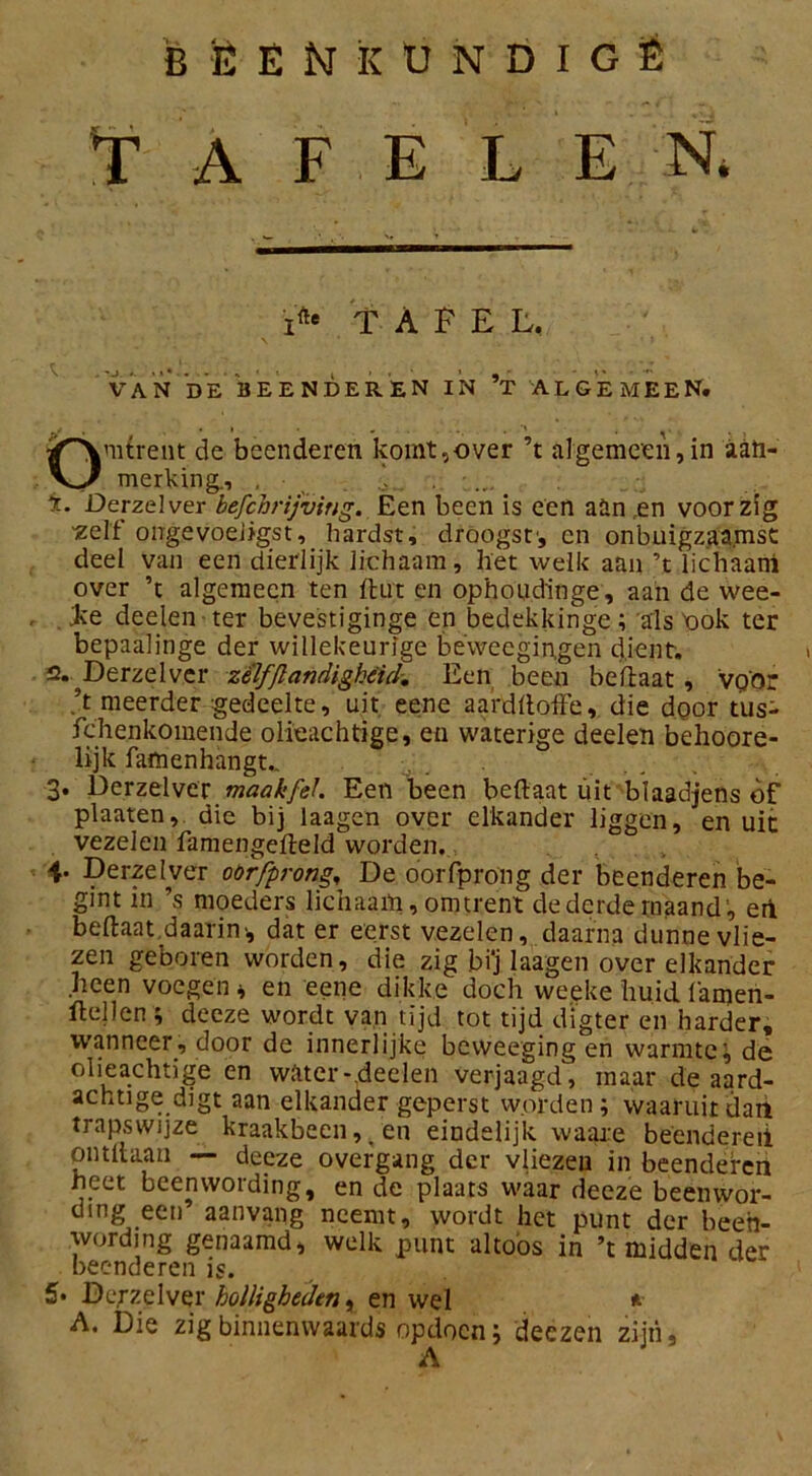 f A F E L E N* ifte TAFEL. VAN DE BEENDEREN IN *T ALGEMEEN. Omtrent de beenderen komt,over ’t algemeen,in aan- merking., . • . ö . ... t. Derzelver befcbrijving. Een been is een aün ren voorzig •zelf ongevoeligst, hardst, droogst', en onbuigzaamst deel van een dierlijk lichaam, het welk aan ’t lichaani over ’t algemeen ten dut en ophoudinge, aan de wee- . Jte deelen ter bevestiginge en bedekkinge; als Ook ter bepaalinge der willekeurige beweegingen dient. 2.. Derzelver zelffl eindigheid-, Een been beflaat , vq'or \ meerder gedeelte, uit eene aardfloffe, die door tus- fchenkomende olieachtige, en waterige deelen behoore- lijk famenhangu 3. Derzelver maakfel. Een been beflaat üit blaadjens bf plaaten, die bij laagen over elkander liggen, en uit vezelen famengedeld worden. 4. Derzelver oörfprong, De oorfprong der beenderen be- gint in ’s moeders lichaam, omtrent de derde maand, ert beflaat.daarin-, dat er eerst vezelen, daarna dunne vlie- zen geboren worden, die zig bi‘j laagen over elkander heen voegen * en eene dikke doch weeke huid i'amen- flellen ; deeze wordt van tijd tot tijd dïgter en harder, wanneer, door de innerlijke beweegingen warmte^ de olieachtige en water-.deelen verjaagd, maar de aard- achtige digt aan elkander geperst worden ; waaruit dan trapswijze kraakbeen,_ en eindelijk waare beendereii ontdaan — deeze overgang der vliezen in beenderen heet beenwording, en de plaats waar deeze beenwor- ding een’ aanvang neemt, wordt het punt der been- wording genaamd, welk punt altoos in ’t midden der beenderen is. 5* Derzelver holligheden, en wel * A. Die zigbinnenwaards opdocn\ deezen zijn, A