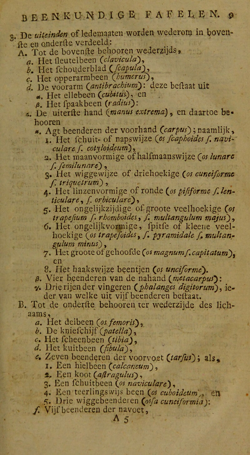 B E E N K U N D. I Q E F A F E L E N. $ De uiteinden of ledemaaten worden wederom in boven- been onderfte verdeeld: , A. Tot de bovenfte behooren wederzijds, a. Het lleutelbeen (clavicula), b. Het fchouderblad (fcapula), c. Het opperarmbeen Qhumcrus), d. De voorarm (’antibracbium): deze beftaat uit 4, Het ellebeen (cubitus), en fi. Hetfpaakbeen (radius'): De uiterfte hand ([manus cxtrema), en daartoe be- hooren *. Agt beenderen der voorhand (carpus) ;naamlijk, ï. Het fchuit-of napswijze (os fcaphoides f navi- culare f. cotyloideuin), а. Het maanvormige of h.alfmaanswijze ('oslunarc f. fcmilunarc) , 3. Het wiggewijze of driehoekige (os cuneiformc f. triquctrum), 4. Het linzenvormig.e of ronde ('os pififorme, f.len- ticulare, f. orbicularc), 5. Het ongelijkzijdige ofgroote veelhoekige (of trapefium /. rhomboides, f. multangulum n^ajus') , б. Het ongelijkvormige, fpitfe of kleene veel- hoekige (os trapcfoidcs, fi pyramidale f, muhanr gulum minus'), 7. Het groote of gehoofde (os magnum fi. capitatum)t en 8. Het haakswijze beentjen (os unciformè). р. Vier beenderen van de nahand (met ac ar pus): y. Drie rijen der vingeren (phalanges digitorum), ie- der van welke uit vijf beenderen beltaat. B. Tot de onderfte behooren ter wederzijde des lich- aams, a. Het deibeen (os femoris), b. De knielchijf (patella), с. Het fcheenbeen (tibia), d. Het kuitbeen (fibula), c. Zeven beenderen der voorvoet (tarfus) j als, 1. Een hielbéen (calcaneum), a. Een koot (aflragulus), 3. Een fchuitbeen (os naviculare'), 4. Een teerlingsvvijs beqn (o; cuboideum,, eft 5. Drie wiggebeenderen cuneiformid ): f. Vijf beenderen der navoet,