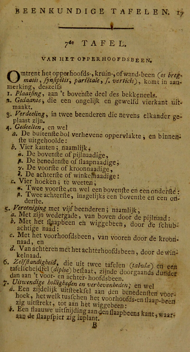 ^ * ' ;d* TAFEL. VArï HET OPPERHOOFDSBEEN. Omtrent het opperhoofds-, kruin-, of wand-been (os breg* tnatis, fynfipitis, parictalc, f. vertuis'), komt in aan- merking, deszelfs i. Plaatjing, aan ’t bovenfle deel des bekkeneels. a. Gedaante -9 die een ongelijk en gewelfd vierkant liifc- maakt. 3. Verdeeiing, in twee beenderen die nevehs elkander ee- plaast zijn. 6 4. Gedeelten, en wel * De buitenflebol verhevene oppervlakte j en binneii- lte uitgehooide: l. Vier kanten; riaamlijk 4 «. De bovenfle of pijlnaadige, j8. De benedenfte o.f llaapnaadige; y. De voorfle of kroonnaadige, De achterfle of winkefnaadigeJ r. Vier hoeken j te weeten, *. Twee yoorfte,en wel een bovenfle eri eenonderfïe • derfle ^ ltCr^e’ *nsSe^ikseen bovemte èn een ori- 5- Vereniging met vijf beenderen; naamlijk, f bil nCdeugade 5 van.b°ven door de pijhiaad: \ditige ha^da?)bee11 en Wlgêebèeh» door de fchud: C* naad h gtnVoorboo^sbeen» van vooreh door dè krobri- ^kehfaad^1^ m<^ ^ ^ck^rhbofdsbeeh •> door deWih- ;dVe,u^ twce tafeJen Qabula) en een dan a^ 4lfoo??n^ pijnde doorgaands duller 7. Uitwendige holligheden en verhevenheden'; en wel ^idehjk tutfteekfel aan den benedenfleri voor