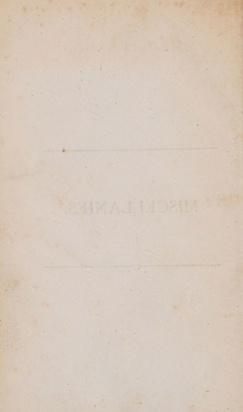 2 CBR Cee Shape NH oe worsarrs- ' -