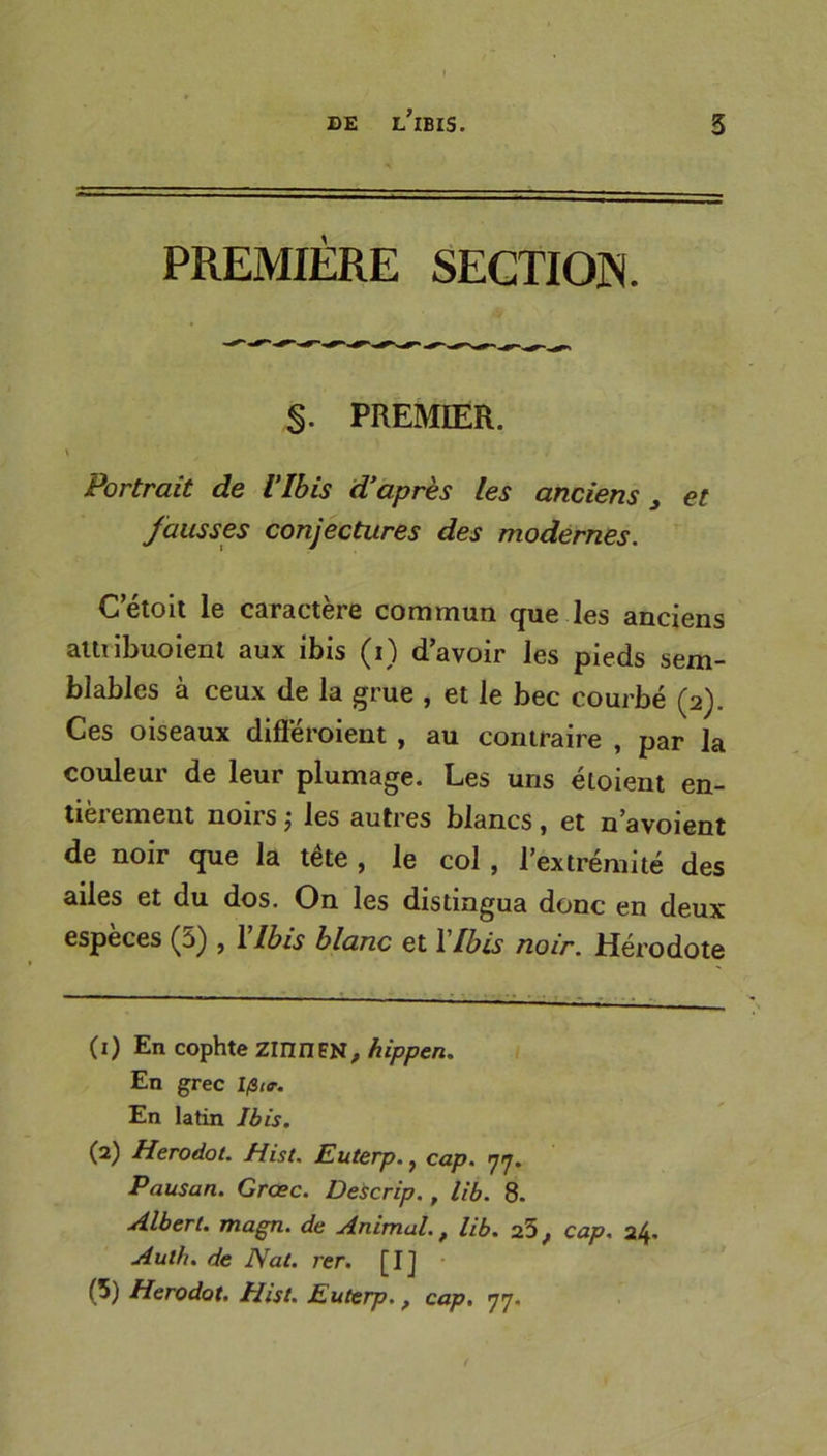 PREMIERE SECTION. §. PREMIER. \ Portrait de l’Ibis d’après les anciens , et fausses conjectures des modernes. C’étoit le caractère commun que les anciens attiibuoient aux ibis (i) d’avoir les pieds sem- blables à ceux de la grue , et le bec courbé (2). Ces oiseaux différoient, au contraire , par la couleur de leur plumage. Les uns éloient en- tièrement noirs ; les autres blancs , et n’avoient de noir que la tête , le col , l’extrémité des ailes et du dos. On les distingua donc en deux especes (5) , 1 Ibis blanc et 1 Ibis noir. Hérodote (1) En cophte ZinnFN, hippen. En grec Ifi nr. En latin Ibis. (1 2 * * 5) Herodot. Hist. Euterp.} cap. 77. Pausan. Grœc. Descrip., lib. 8. Albert, magn. de Animal. t lib. 25 f cap. 24* Auth. de Nat. rer. [ I ] (5) Herodot. Hist. Euterp., cap. 77.