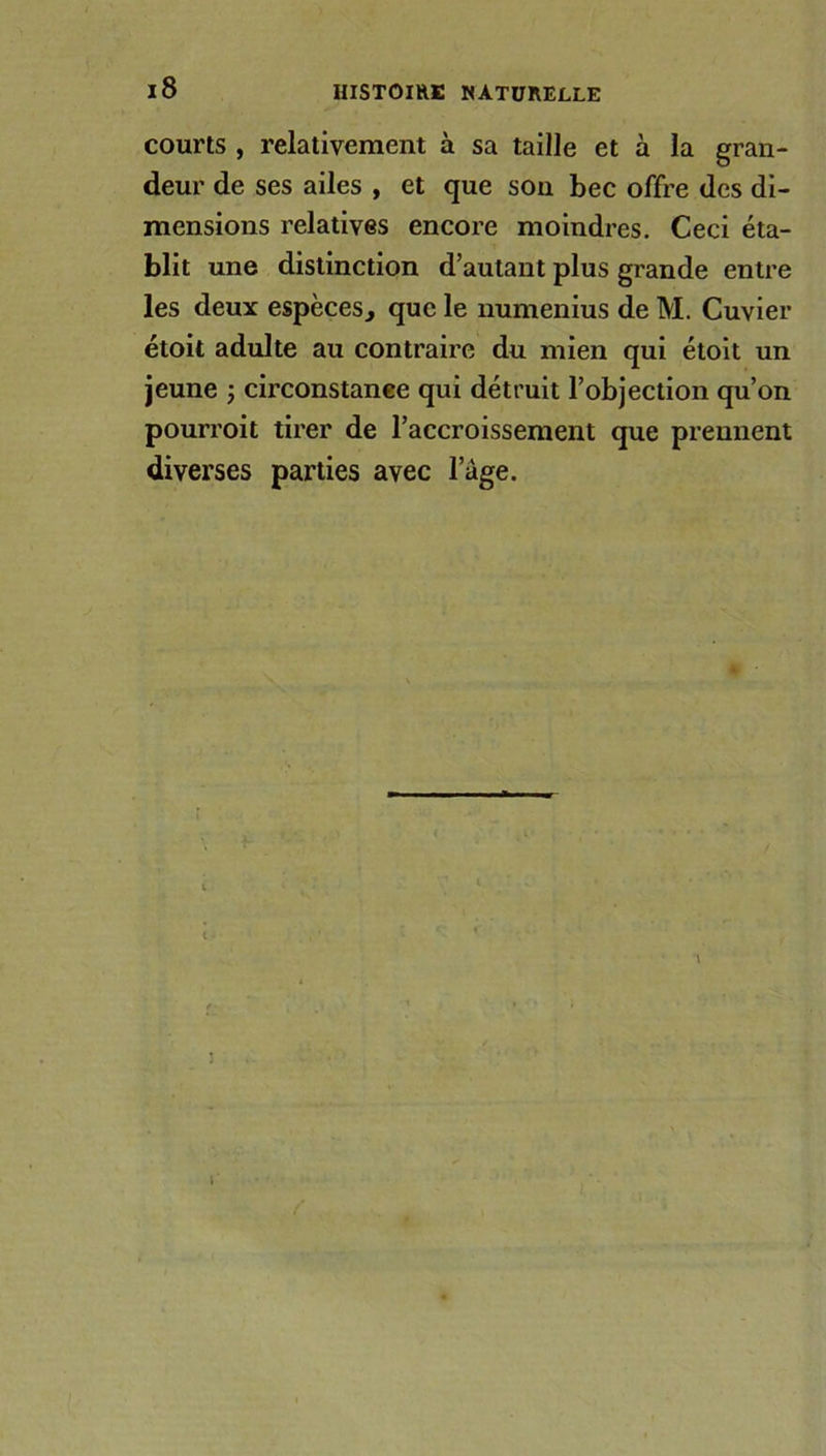 courts , relativement à sa taille et à la gran- deur de ses ailes , et que son bec offre des di- mensions relatives encore moindres. Ceci éta- blit une distinction d’autant plus grande entre les deux espèces, que le numenius de M. Cuvier étoit adulte au contraire du mien qui étoit un jeune ; circonstance qui détruit l’objection qu’on pourroit tirer de l’accroissement que prennent diverses parties avec l’àge.