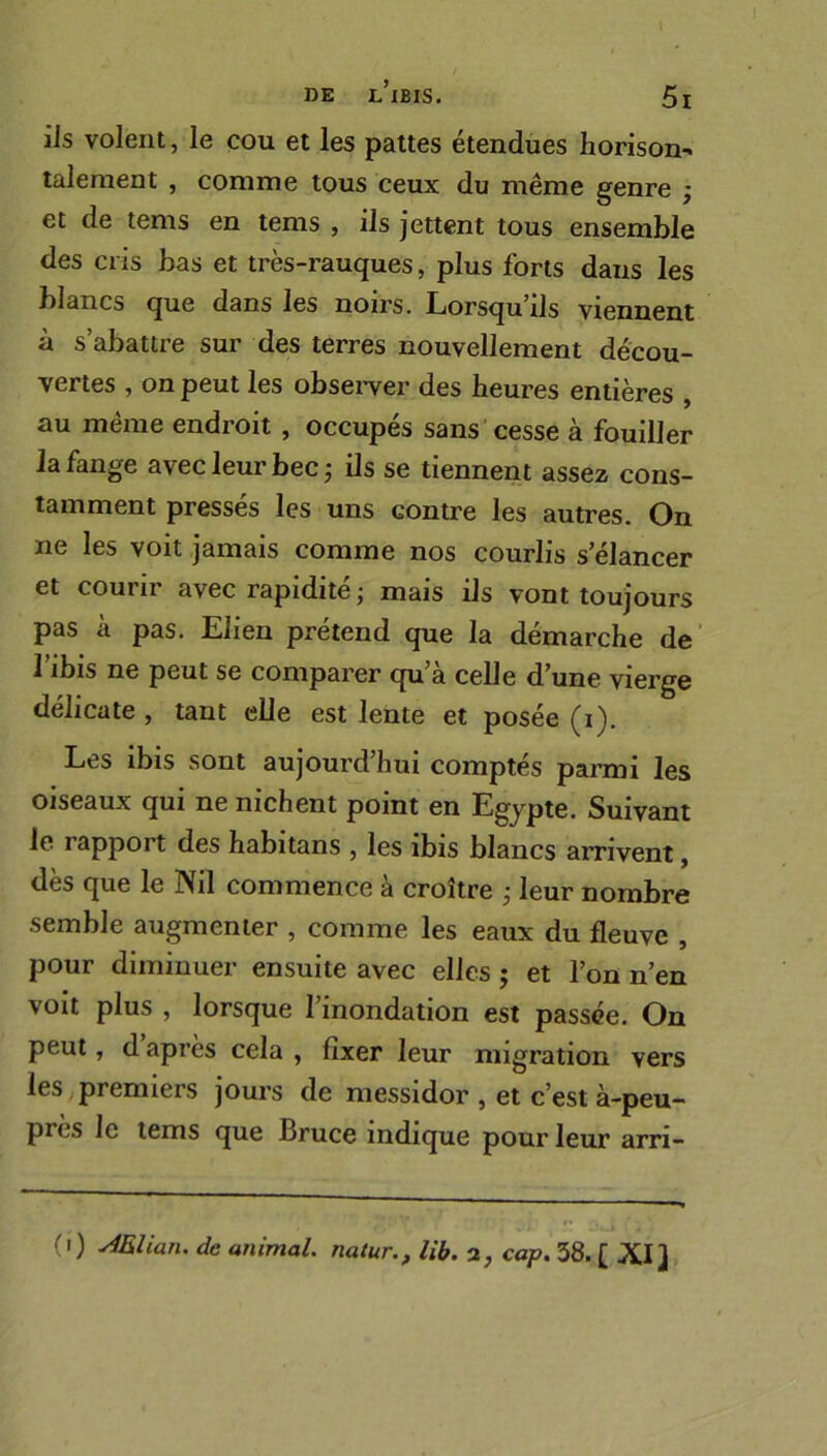 ils volent, le cou et les pattes étendues horison- talement , comme tous ceux du même genre ; et de tems en tems , ils jettent tous ensemble des cris bas et très-rauques, plus forts dans les blancs que dans les noirs. Lorsqu’ils viennent à s’abattre sur des terres nouvellement décou- vertes , on peut les observer des heures entières , au même endroit , occupés sans cesse à fouiller la fange avec leur bec ; ils se tiennent assez cons- tamment presses les uns contre les autres. On ne les voit jamais comme nos courlis s’élancer et courir avec rapidité ; mais ils vont toujours pas à pas. Elien prétend que la démarche de 1 ibis ne peut se comparer qu’a celle d’une vierge délicate , tant elle est lente et posée (i). Les ibis sont aujourd’hui comptés parmi les oiseaux qui ne nichent point en Egypte. Suivant le rapport des habitans , les ibis blancs arrivent, dès que le Nil commence à croître • leur nombre semble augmenter , comme les eaux du fleuve , pour diminuer ensuite avec elles ; et l’on n’en voit plus , lorsque l’inondation est passée. On peut, d après cela , fixer leur migration vers les premiers jours de messidor , et c’est à-peu- près le tems que Bruce indique pour leur arri- (i) Ælian. de animal natur., lib. 2, cap. 38. £ XI]