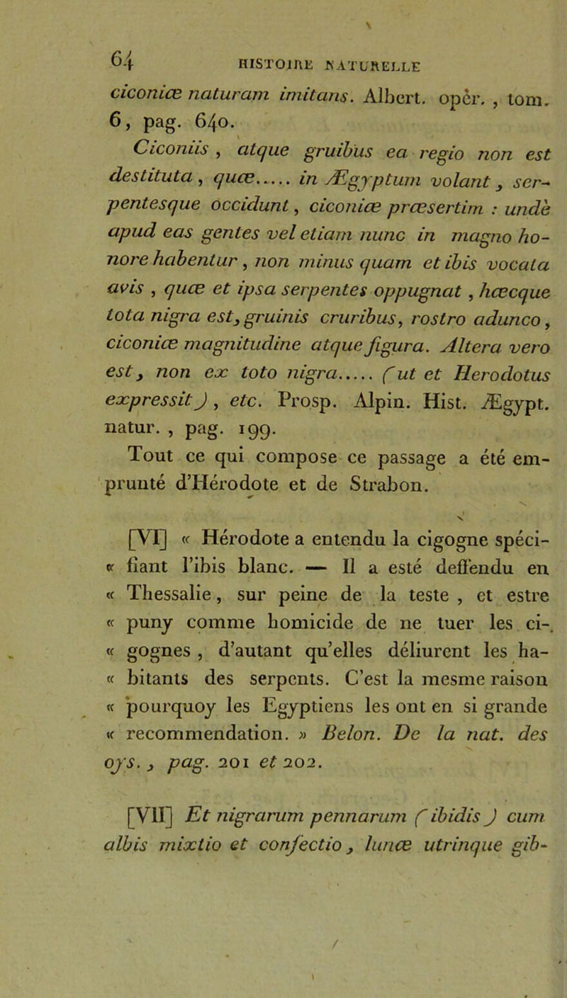 ■6-i cicomce naturam irmtans. Albert, oper. , lom. 6, pag. 640. Ciconiis , clique gruibiis ea regio non est deslituta , quœ in Ægyptuin volant, scr- pentesque occiclunt, ciconiœ prœsertim : undè cipud eas gentes vel etiam nunc in magno ho- nore hcibenlur, non minus quam et ibis vocala avis , quœ et ipsa serpentes oppugnat , hcecque Iota nigra est,gruinis cruribus, roslro adunco, ciconiœ magnitudine atque figura. Altéra vero est, non eæ toto nigra f ut et Heroclotus expressitj, etc. Prosp. Alpin. Hist. Ægypt. natur. , pag. 199. Tout ce qui compose ce passage a été em- prunté d’Hérodote et de Strabon. \ v [VI] « Hérodote a entendu la cigogne spéci- « fiant l’ibis blanc. — Il a esté defTendu en « Thessalie, sur peine de la teste , et estre « puny comme homicide de ne tuer les ci-, « gognes , d’autant qu’elles déliurcnt les ha- « bitants des serpents. C’est la mesme raison « pourquoy les Egyptiens les ont en si grande « recommendation. » Belon. De la nat. des ojs. , pag. 201 et 102. [VII] Et nigrcirum pennarum f ibidis J cum albis rnixlio et confectio, lunce utrinque gib-