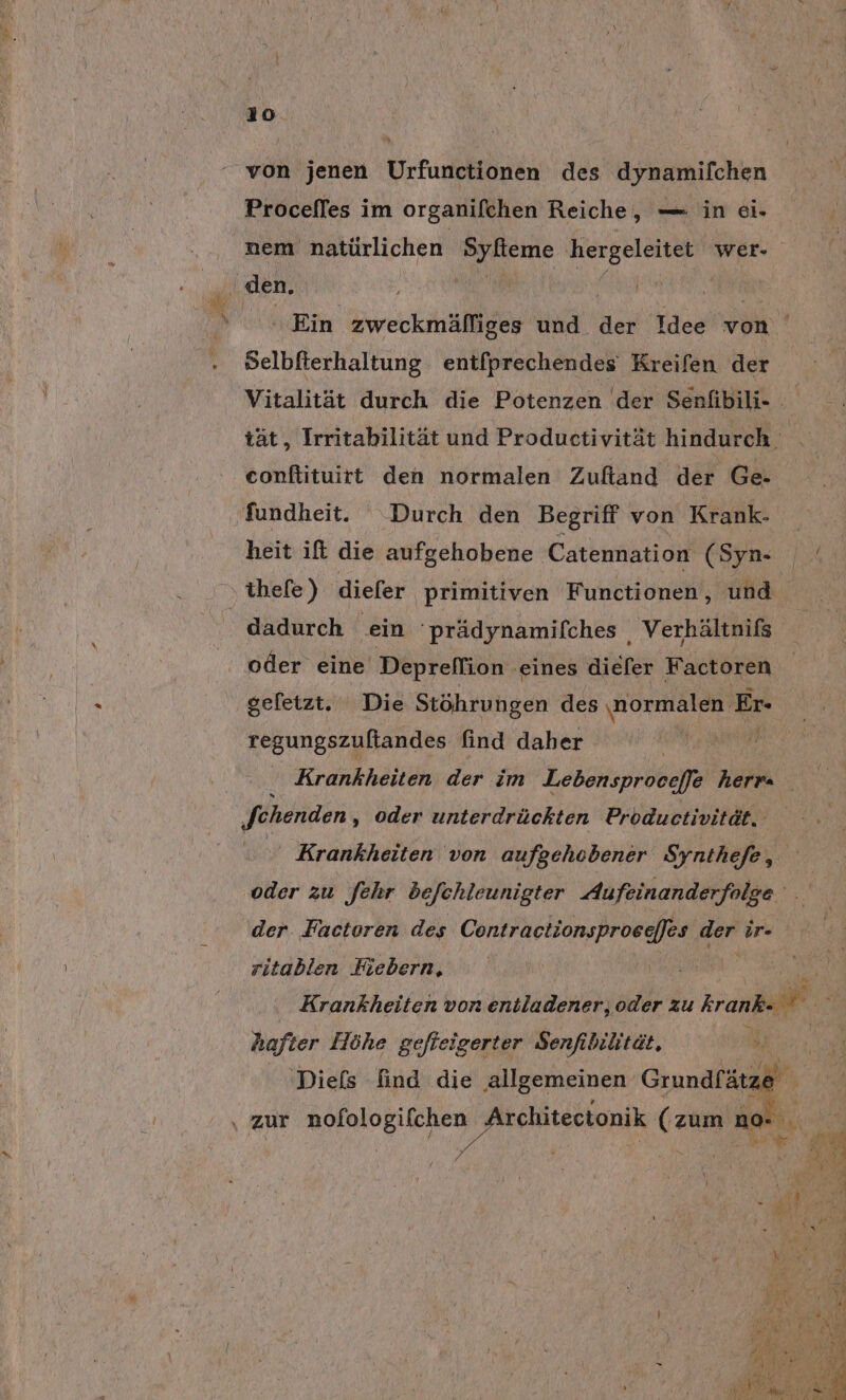 130 von jenen Urfunctionen des dynamilfchen Procefles im organifchen Reiche, — in ei- nem natürlichen Syfteme hergeleitet wer- den, N Brien Ein zweckmäfliges und der Idee von Selbfierhaltung entfprechendes Kreifen der Vitalität durch die Potenzen der Senfibili- tät, Irritabilität und Produetivität hindurch conftituirt den normalen Zuftand der Ge- fundheit. Durch den Begriff von Krank- heit ift die aufgehobene Catennation (Syn ihefe) diefer primitiven Functionen, und dadurch ein 'prädynamifches , Verhältniß 2 oder eine Depreflion eines diefer Factoren gefetzt. Die Stöhrungen des ‚normalen Er- regungszuftandes find daher | Krankheiten der im Lebensprocefje nahe ‚fehenden ‚ oder unterdrückten Productivität. Krankheiten von aufgehobener Synthefe, oder zu [ehr be/chleunigter Aufeinanderfolge der. Factoren des PRRETUVBIOEDT ORG Ben ir- ritablen Fiebern, | Krankheiten von entladener, oder zu kranke hafter Höhe gefieigerter Senfibilität, | k 'Diefs find die ‚allgemeinen Grundfätze br \ zur nofologifchen Architectonik (zum no