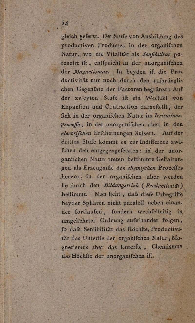 r i { \ . a ı A Sg x a Natur, wo die Vitalität als Senfidilität po- tenzirt ift, entfprichtin der anorganifchen ductivität nur noch ‚durch .den utfprünglix Expanfion und Contraction dargeftellt, der dritten Stufe kömmt es zur Indilferenz zwi- fchen den entgegengefetzten : in -der anor- ganifchen Natur treten beflimmte Geftaltun- befiimmt. Man fieht ‚ dals diefe Urbegriffe fo dafs Senfibilität das Höchfte, Productivi- tät das Unterfte der organilchen Natur, Ma- gnetismus aber das Unterfie , Chemismus x