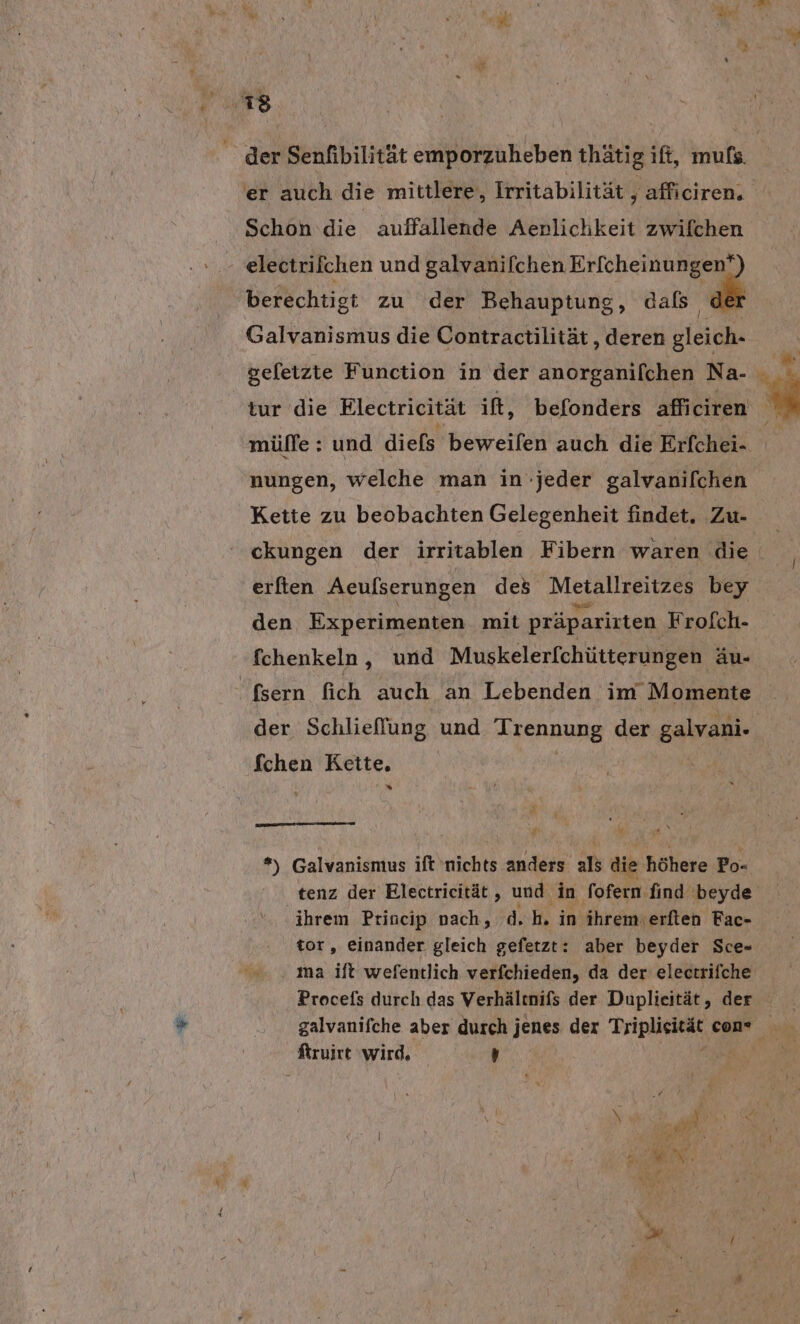 er auch die mittlere, Irritabilität , afficiren. Schon die auffallende Aenlichkeit zwifchen berechtigt zu der Behauptung, dafs Galvanismus die Contractilität, deren gleich. sefetzte Function in der anorganifchen Na- tur die Rlectricität it, befonders afficiren mülfe : und diefs beweifen auch die Erfchei- nungen, welche man in-jeder galvanifchen Kette zu beobachten Gelegenheit findet. Zu- ckungen der irritablen Fibern waren die erften Aeufserungen des Merallzeitzes bey den Experimenten mit präparirten Frofch- fchenkeln, und Muskelerfchütterungen äu- der Schlieflung und ‚brennuUng der galvani. fchen Kette. = N, t) Galvanismus ift nichts anders als die höhere Po- tenz der Electricität , und in fofern find beyde ‚ihrem Princip nach, d. h. in ihrem:erften Fac- tor , einander gleich gefetzt: aber beyder Sce- ma ift wefentlich verfchieden, da der electrifche Procefs durch das Verhältnifs der Duplicität, der galvanifche aber durch jenes der Priplieiegt con ftruirt wird, ’ |