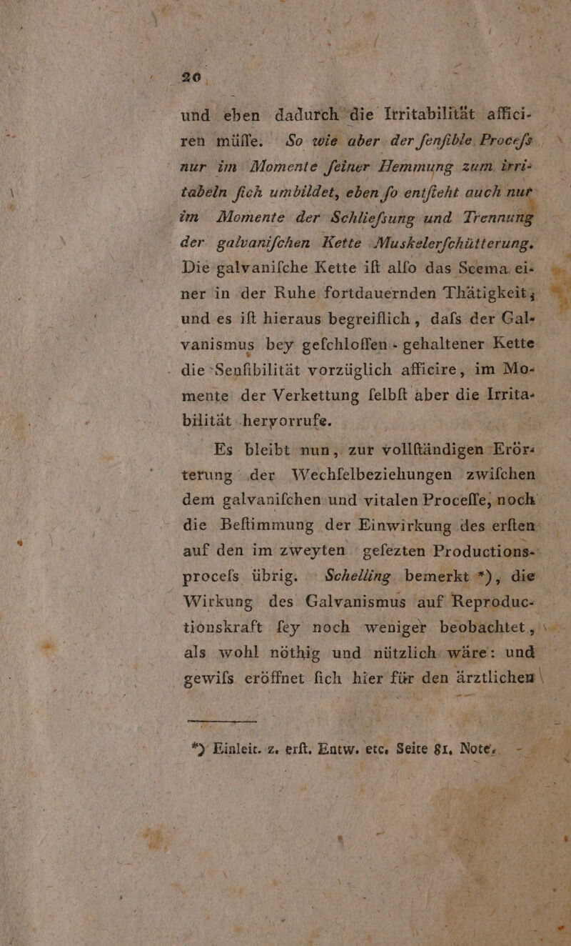 Ne hl und eben dadurch die Irritabilität affici- tabeln fich umbildet, eben fo entfieht auch nur r galvani/chen Kette Muskelerfchütterung. er galvanifche Keite ilt allo das Scema. ei- ner in der Ruhe fortdauernden Thätigkeitz vanismus bey gefchloffen - gehaltener ‚Kette bilität .hervorrufe. terung ‚der Wechfelbeziehungen zwifchen er = auf den im zweyten 'gefezten Productions-: tionskraft fey noch weniger beobachtet, als wohl nöthig und nützlich. wäre: und De