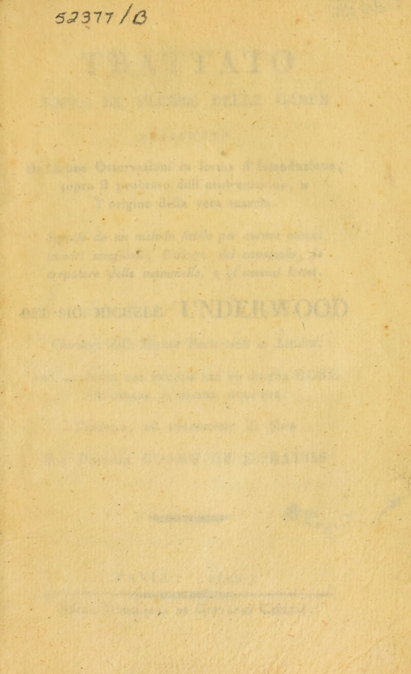 53317 /6 ■ * ' . ' * , . ■ y - } ' - ■ .