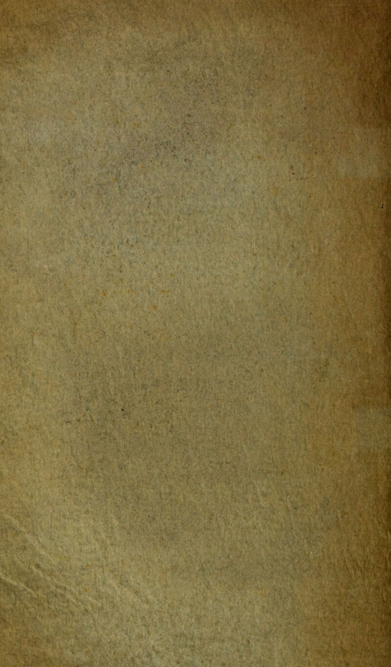 • ' . . > ; . . .. • ». • i-.aa ■ ■ ^ • 1 ' > ^ Lam ■ . / a v * V *■ ■ i ^ '.‘Sr v >•■ -*^.7/^ ■ > ■'' k§r, >£ C'-' * V & ' ■$■■• tCH : . » U W,> V V V ' '