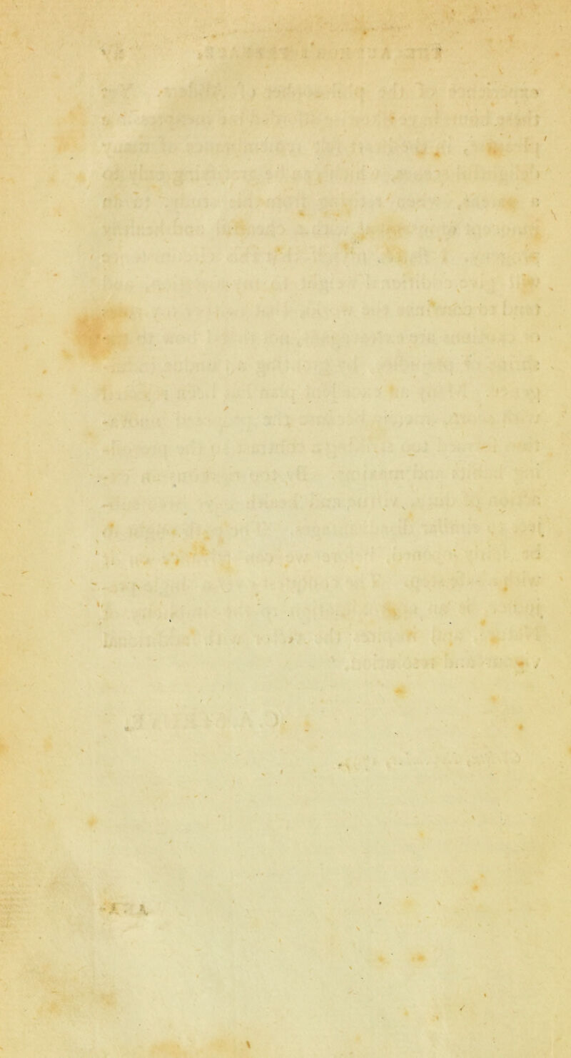 '■ , , ... ' l 4 > r , v «< •4 - # ■ • - ' * : ; .• « < , • • * . i } K /