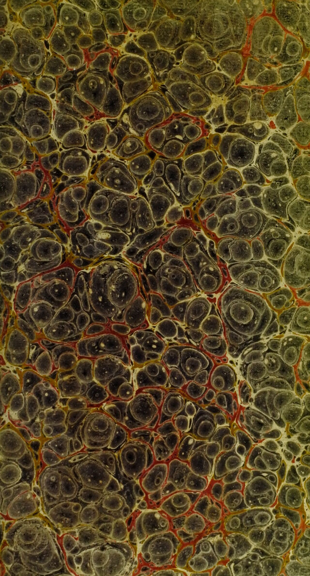 No text description is available for this image