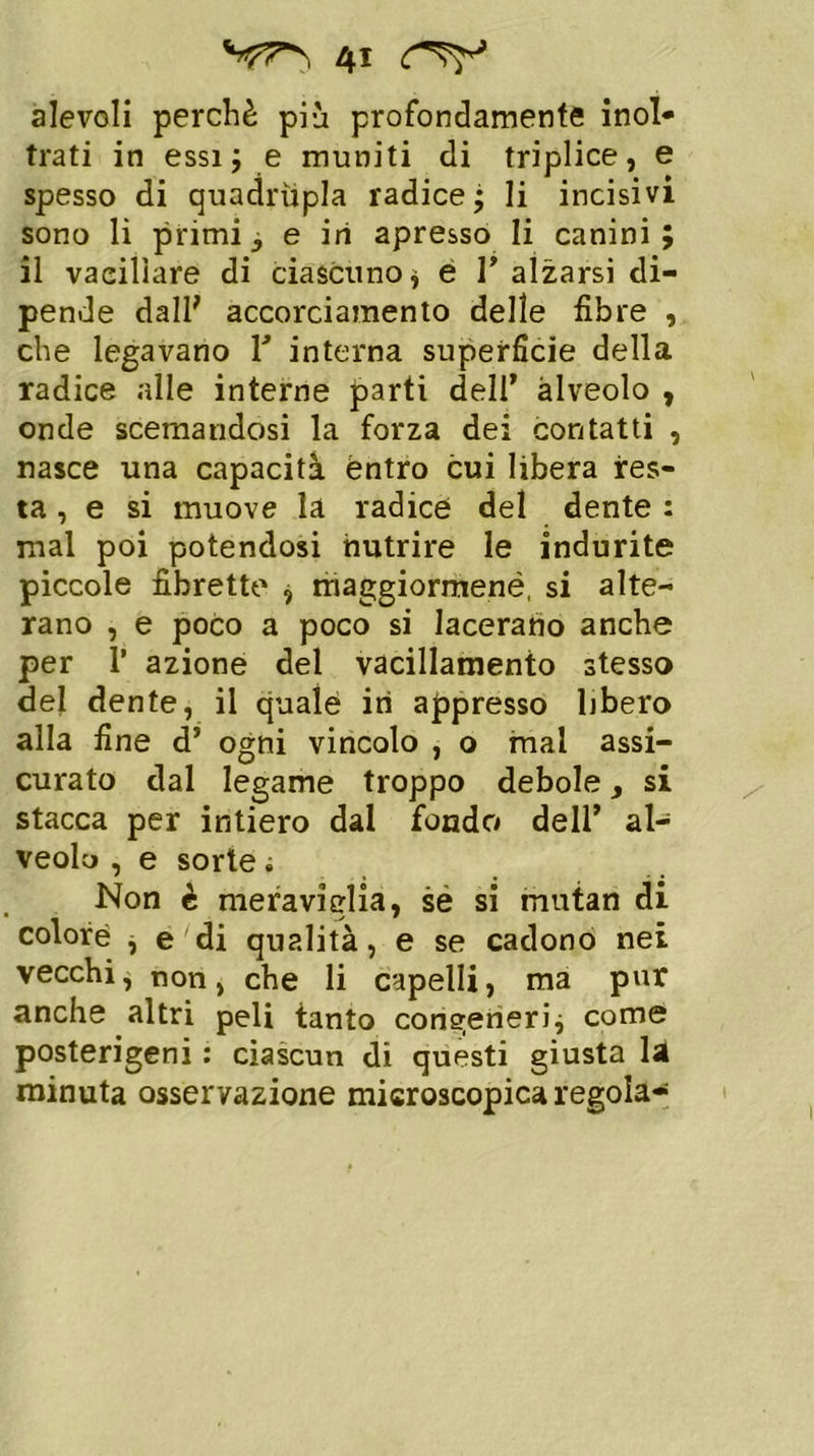 alevoli perchè più profondamente inol- trati in essi; e muniti di triplice, e spesso di quadrupla radice; li incisivi sono li primi, e iri apresso li canini ; il vacillare di ciascuno* e T alzarsi di- pende dall7 accorciamento delle fibre , che legavano V interna superficie della radice alle interne parti dell’ alveolo , onde scemandosi la forza dei contatti , nasce una capacità éntro cui libera res- ta , e si muove la radice del dente : mal poi potendosi nutrire le indurite piccole librette , maggiormenè, si alte- rano , e poco a poco si lacerano anche per P azione del vacillamento stesso del dente, il quale in appresso libero alla fine d’ ogni vincolo , o mal assi- curato dal legame troppo debole, si stacca per intiero dal fondo dell’ al- veolo , e sorte ; Non è meraviglia, se si mutan di colore * e di qualità, e se cadono nei vecchi, non, che li capelli, ma pur anche altri peli tanto congeneri* come posterigeni : ciascun di questi giusta la minuta osservazione microscopica regola-