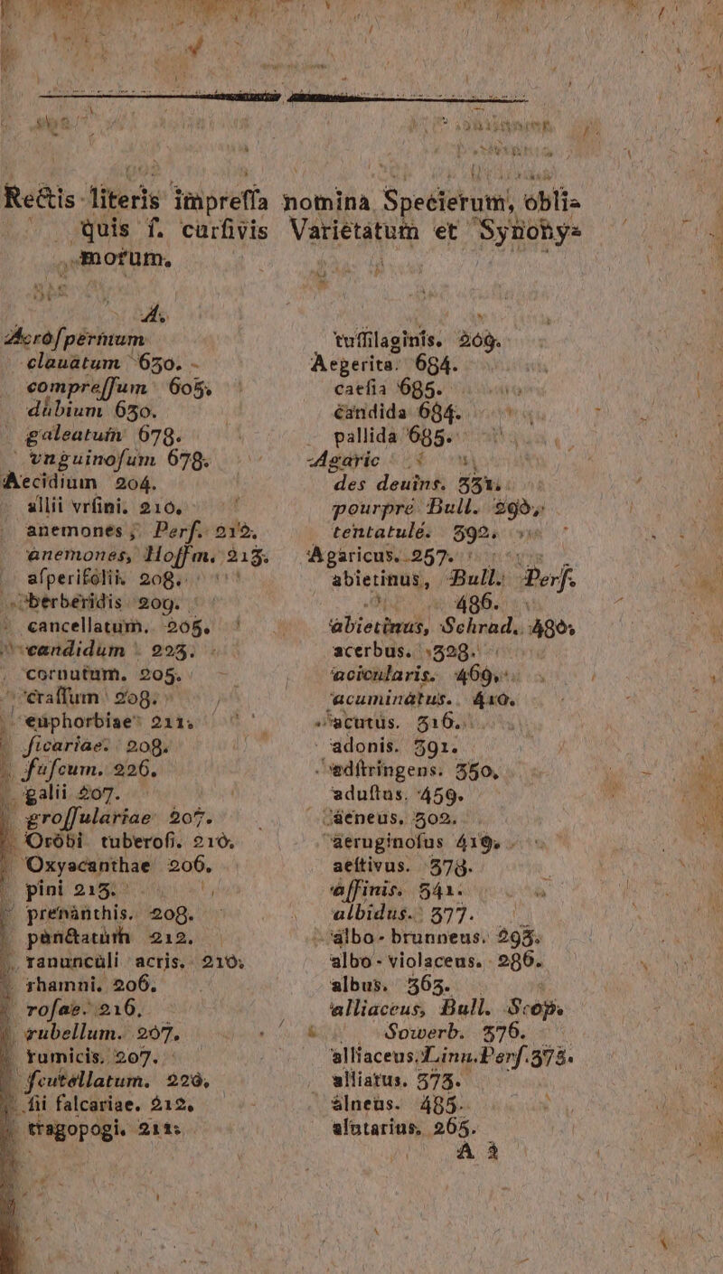 Fu oy Aquis f. carfivis .. motum. » Pie Van quin — elauatum 650. - compre[Tum | 605, m ; galeatum 678. vnguinofum 678. Aecidium 204. allii vrfini. 210, anemones ;. Perf. 219. ^ anemones, ofi 215. .' &amp;fperifolik 208. oberberidis 209. . - «ancellatum. 208. ! candidum ' 225. cornutum. 205. ^craffum ' 20g. , «uphorbiae* 211; i icariae. 209. X fufcum. 220. 3 igalii 207. : 'Oróbi tuberofi. 210; | 'Osyscuithas 206. D pini 2:553 oit,  prenànthis. 209. | pen&amp;aunh 212. ; y ranucüli Fi 210; P rofab) iio | | vubellum. 297. rumicis, 207. ; Ti facarae. 220, &amp;) Ji x E tuffilaginis. 209. Aegerita: 684. caefia 685... 5 éandida 634. ^. — vallida'685.:: ^1. guyic 55€ m des deuins. TTE i pourpre. Bull. $95, tentatule. 592. abierinus, Bull. ejf. 496. NADA, :Sehrad.. 486» acerbus. 529. acicularis. «it acuminátus... 4x0. ^scutus. 516.  adonis. 591. wdftringens. 250, aduftus. 459. aeruginofus 419, . aeítivus. 379. a[finis. 541. albidus.: 577. i -dlbo- brunneus. 295. albo - violaceus. 296. albus. 565. elliaceus, Bull. S: 5. E Sowerb. $76. alliaceusLinn.Perf.578. , uwlliatus. 5735. álneüs. 485.  alntarius, 265. (41 5 AS E