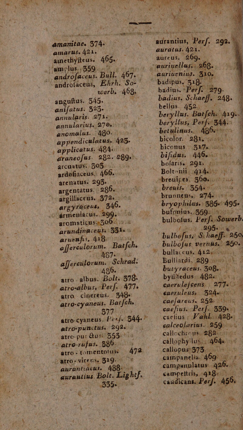 * amanitae. 574. amarus. 421. . ainethylteus. 465. /'amplus..359. . 'androfaceus. Bull. am androíacéus, werb. 468. anguftus. 545. annularis. 271: anomalus..: 480. . appendiculatus, 425- araneofus. 292. 289. arcuatus. 305. . ardofiaceus.: 466. arenatus. 295. argentátus. . 286. - atgillaceus. .572« argyraceus, 546. ^ érmeniacus..: € i - aromsticus;. 50 119786 arundinaceus: 31. d aruenfu, 419. o[Jerculor um. Barfch. 487- guum Schrad: 480. atro - albus. Bolt. 578-. 5489« atro- cyaneus. Bar fch.. atro-punctus. 292. . atro- pu: Qus: 255.755 -atro-rufus. $90. ; atro - tomentottss | atro- vire ns. 919. - aurantiacus. 488. aurantius. Bolt. Lighif. 552 iis - auratus. 421. - aur£us. .$69. - auriuellus;. 269. —badipus. 518. badius. Perf. liso. badius. Schaef. 248. bellüs.. 4823 * beryllus. Batfch. * betulinus.. e pio j 4 bicolor. excu e biconus |.517. x [ bifidus. 446. á E bolariss | 20x. qprrieon ai ^. Bolt: onii- nb iv P ES $60... ru. 2 - breuis. 5544 ». i  brunnets. en 4 bryophilus. : 385- 495». bufonius..559: *- Mupatas Perf. Sowerb 5. ^bulbéfasà S baeff. i 250. bulbofus vernus. ox bullaceus. 412. - Bulliardi. 289 eis n. 4 butyraceus. BoB. 5 | byiiifedus 482. |. xA caerulejcens. . 3e T - eaeruleus: 524 b. cae[areus. 252. . aefius. Perf. oic csefius : Vahl. 428«. calceolarius. 259. - callochrous, 282.- cállophy!lus. 4Mde s callopus: 575. AR campanelia.. 469. — iat campannlatus .420..—— campeltris, 4g18- . Wo Rim AP 