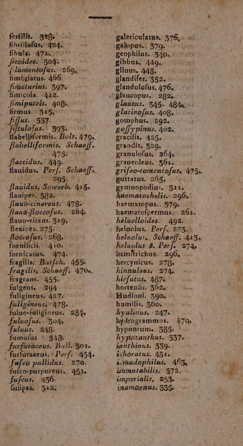 fertilis. 398. fibrillofus. 494. . fibula, 471.05 Jcoides. |o. fi lanientofus. Mk fimbgiatus. 466. « fwaetarius. 597. fimicola. -432. fimiputris. 408. i^ , firmus.- 05135,  ; 857. V jd aloes ag 475: f TREE 449. 295. Flanidi Sewer. hi5 flauipés. 599: flauo-cinereus.' 478: flaua-floccofus.: 204. flauo-virens. $19 flexipes. 275: floécofus. ' 269. foeuificii «410. fornicatas. 474. fragilis: Batfch. 455 fragilis, Schae[f. 470». fragraus. 455. fulgens. 294 fuligineus. 427. faüligineus, 478. | fuluo-fáligins us. 994 fuluofus. . 504. jfuluus. 249. fumofus * 848: furfuraceus. Bull. 501. ' furfurseeus, Perf... 454, | fufco pallidus. | 270. Misi rog e ru 49». fufcus. 456. p. Rios S a; galericulatus, 576,:n geophilus. 540... gibbus; 44g.. gilnus, 448. glandifer. 552, glandulofus, 476. glaucus. 545. 484... glutinofus, 408g... gomphus. , 292. go[J y pinus. 402.. gracilis, 425, grandis, 529. granulofus. 264. graueoleus. 561. Mya xin 4753. guttatus. 265. gymnopodiu:.. Bit haematochelis...296.. baematopus. 579. haematofpermus... 261. heluelloides. 492. heluolu«.. Schaeff. 415. heluolus. 8. Perf. 274, hercynicus, 278. hinnuleus. 274. hirfutus. 4875. horteníis. 562, humilis, 560. hyalinus | 247. hydrogrammnus. | 470, hypnorum. 285; hypozanthus. 537. f ichoratus. 4515. icrnadophilus, | A65, inmutabilis. 372. imperialis, 255. inamoenus. 355.