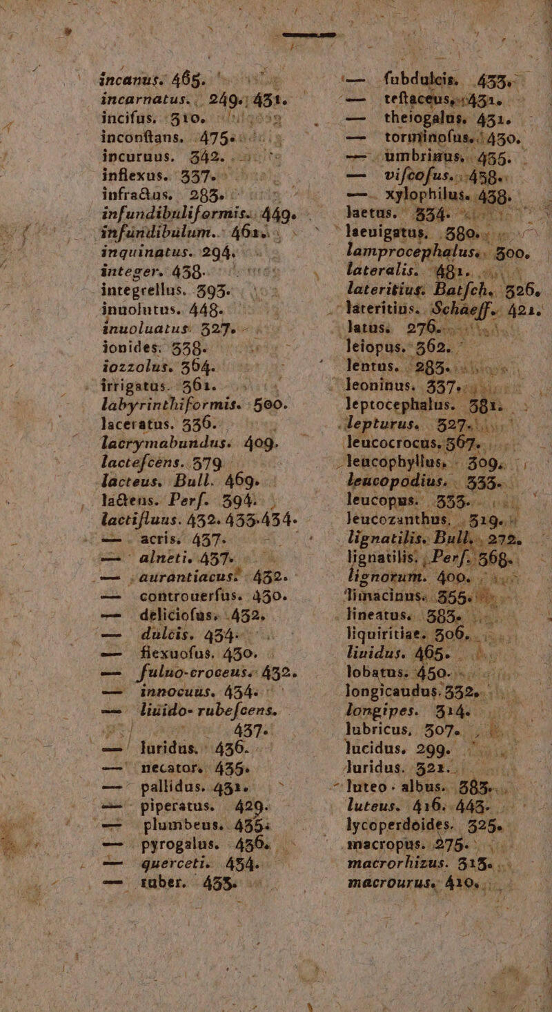 LAE  * -  incanus. 48g. incarnatus. . incifus. $10. inconítans. .475.: incuruus. 3542. is it inflexus. 557. — infra&amp;us. 285. gei s. Asyto infündibülum.. 461... inquinatus. 294. integer. 459. d integrellus. 595. : inuolutus. 448. inuoluatus. 527. — . jonides:; 558. iozzolus. 504. labyrinthiformis. 5ee- laceratus. 550. lacrymabundus. 4o9. lactefcens..579. lacteus. Bull. 469. la&amp;tens. Perf. 594. lactifluus. 452. 435.454- . acris; 457. : ' alneti, 457. A r auraántiacusz 4852. controuerfus. 450. deliciofus. .452. duldis. 454... fiexuofus. 450. fuluo-eroceus.: 452. innocuus. 454. ^ — | liuido- rubefcens. [ 2 457- fadus ^ 456. - necator,. 435. pallidus. 451. .^ piperatus. 429. plumbeus,. pem pyrogalus. 486. guerceti. 454. guber |4553. -— i RE ywo€—ÁÉ—wv£(OL9 ^79. — fabdaleia. A538: : LE téflaceuse 451. 2 — theiogalus. 451. -— PONE MMSo, -— umbrimus. 455. — vifcofus... 458. Eo xylophilus. 458... laetus. 0854-- ^de )» dn s $i 3 à lamprocephalus, oo. lateralis. 481. lateritius. Batfch.. 526. . lateritius. Be PA c 424. latüs. 2786. s leiopus.: $62. lentus. . 285. | — leoninus. d pit leptocephalus. 581. Jepturus. 527.7 leucocrocus, 56 ^. I . leacophyllus, - 809, * leucopodius. . vaa | leucopus.: 5359-- Jeucozanthus, * BEgok  lignatilis. Bull 4225. lignatilis. | Per - 868. lignorum. 400. . Y Aui Toms cinus.. 556b .lHineatus. /.5858- ... — . liquiritiae. A js liuidus. 465. . lobstus. 450. ea longicaudus. 552... longipes. 8514. 5 lubricus, 507... f e | lucidus. 299. a Juridus. 5221.. ka luteus. 416.443... lycoperdoides. $25. .macropus. 275. macror hizus. 515.. macrourus. Á10... VA - A