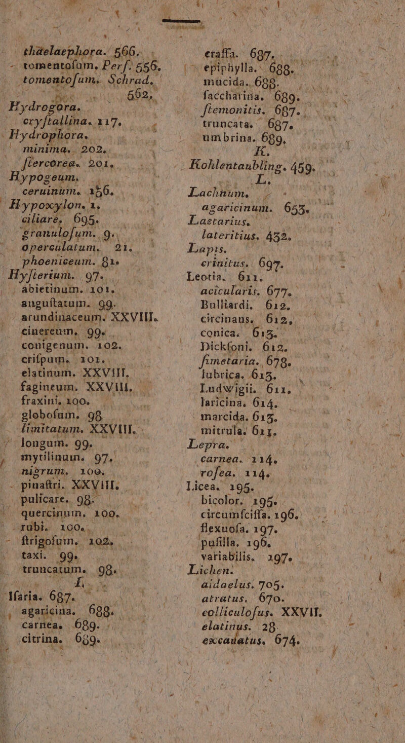 Mielsro pura. 566. At tomento[am,. Schrad. : Gf JUPE : ( eryftallina. 117. d Um ydrophora. : minima. . 202, fiercerea. 201. Hypogeum, ceruinum. 156. Hypoxylon.. 1, ailiare, 695. granu ofum. 9 9^ opercülatum. NIS, phoeniceum. $1 jHyJcertum 97. |(; ábietinum. 101. anguítatum. 99. arundinaceum. f XXVII. cinereum, 99«.. conigenum. 102. crifpum. 101. . elstinum. 'KXVWr. fagineum, XXVI, - fraxini, 100. jà globofum, 98. [imitatum. XXVII. - /' longum. 99. / mytilinum. 97. nierun,. 100. p. pinaftri. XXVI. pulicare. 98- . quercinum, 109. ' sorübi. i00... »- ftrigofum. 102, . b. c£axi: .99* truncatum. 998. Jd 3 f. Maria. 687. ONE , agaricina, 688. * carnea, 6989. . citrina. 689. Uc Dh 687... vcepiphylla.. 689. macida... 689. facchatina, 689. Jtemonitis. 697... truncata, / 687. um brina. 689, 4. Bokleutanbl 489. . LachWtin. e a agaricinum. 655. 5 aetarius. lateritius, 432. ! Lapis. crinitus,. 6 Leotia. ERCAP acicularis. 677, Bulliardi. 612. circinans,. 612, conica. 615, Dickfoni. | 612. fimetaria. 678. lubrica. 615. Ludwigii. 611. laricina, 614. marcida. 615. mitrula. 611. Lepra. |. .carnea. 114. rofea. 114. Licea. 195. bicolor. 195. circumfciffa. 196. flexuofa. TY07. 5 pufilla. 196. variabilis. - 197. Lichen. a aidaelus. 705. atratus, 670. eolliculofus. XXVIF. elatinus. 28. escadatus, 074.