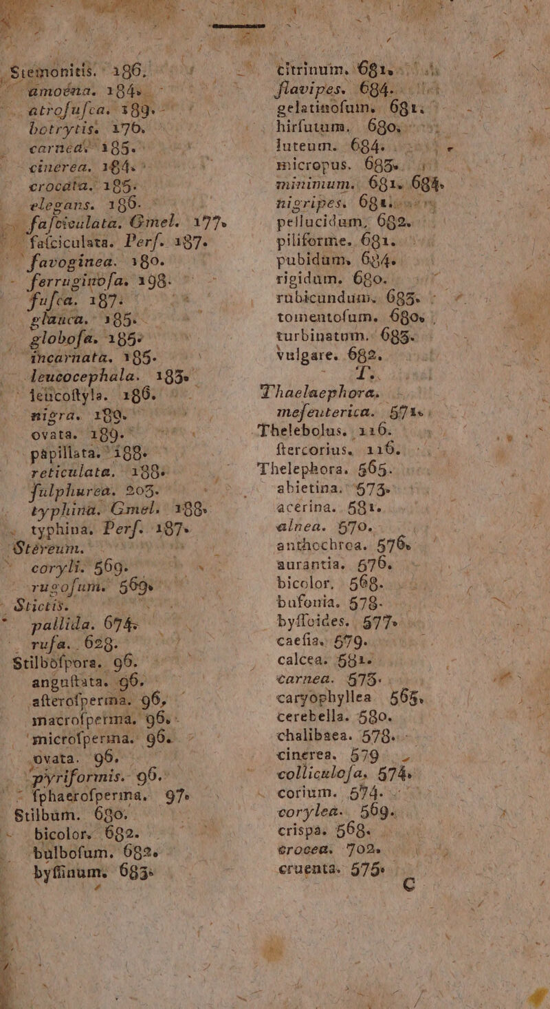 t - atrofufca. zx o» botrytis. 176. carnea 1385.^ cinerea, 184. crocata. 185. | favoginea. 180. -ferrug ji 1 98- globofa. 185: dncarnata. 185. ' - leucocephala. 195. . feücoftyla. 186. 5 .— nigra. 190. — papillata. * '188- reticulata. 198. felphurea. 205. rugofum. 569» AU pallida. 074. — rufa. 629. angnitsta. :96. macrofperma. Doi | * fphaerofperima. ub bicolor. 682. ; -bulbofum. 682. byfinum. 685: gelatinofum. | ép luteum. 684. micropus. 605... pi minimum. aod 683. nigripes. 6gai.«- pellucidum, GR piliforme. 691. pubidum, 634. rigidum. 680. tomentofum, 680. turbinatum.. 685. vulgare. 682. t LEE mefeuterica. 51s; ftercorius.. 116. abietina. 573. acerina.. 591. ainea. 5709. antaochrea. 576. : aurantia. 576. bicolor, 568. bufonia. 578. byffoides. 577» caefia.. 579. calcea. 581. carnea. 5735. cargophyllea. 565, cerebella. 580. chalibsea. 578. cinerea. 579... colliculofa, $74. corylea- 569. crispáà, 569. erocea. 702. cruenta. 575