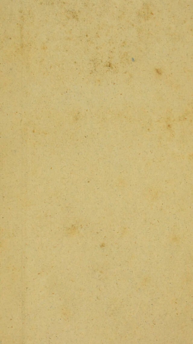 digitised image 3