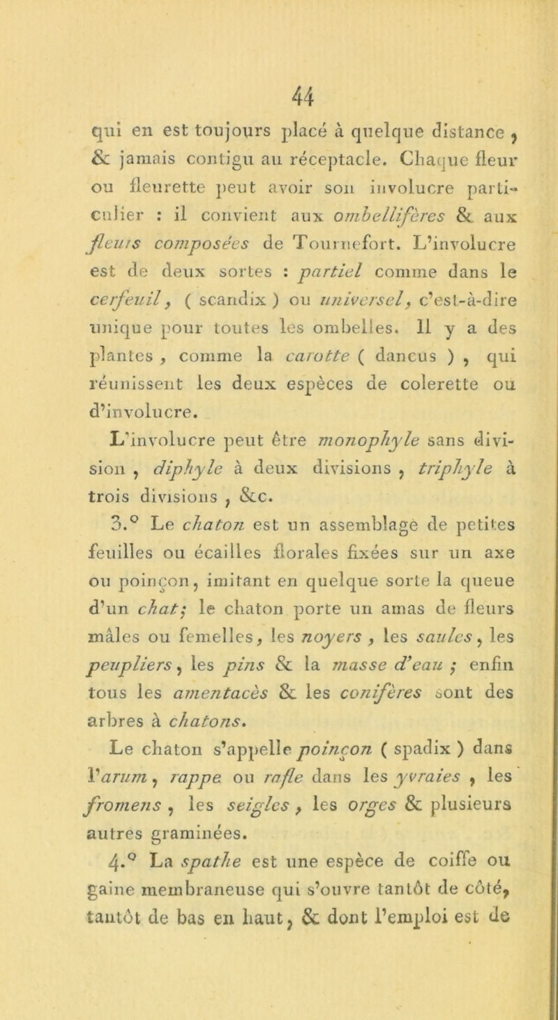 qui en est toujours placé à quelque distance , Sc jamais contigu au réceptacle. Chaque fleur ou fleurette peut avoir son involucre parti- culier : il convient aux ombcllifères Si aux feuts composées de Tournefort. L’involucre est de deux sortes : partiel comme dans le cerfeuil y ( scandix ) ou universel y c’est-à-dire unique pour toutes les ombelles. 11 y a des plantes , comme la carotte ( dancus ) , qui réunissent les deux espèces de colerette ou d’involucre. L’involucre peut être monophyle sans divi- sion , diphyle à deux divisions , triphyle à trois divisions } &c. 3. ° Le chaton est un assemblage de petites feuilles ou écailles florales fixées sur un axe ou poinçon, imitant en quelque sorte la queue d’un chat; le chaton porte un amas de fleurs mâles ou femelles, les noyers , les saules y les peupliers, les pins & la niasse d’eau ; enfin tous les amentacès Sc les conifères sont des arbres à chatons. Le chaton s’appelle poinçon ( spadix ) dans Y arum, rappe ou rafle dans les yvraies , les fromens , les seigles } les orges & plusieurs autres graminées. 4. ° La spathe est une espèce de coiffe ou gaine membraneuse qui s’ouvre tantôt de côté, tantôt de bas en haut, & dont l’emploi est de