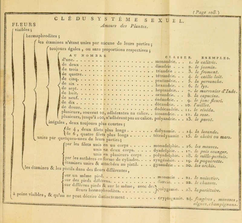 ( Pane 108. ) C L E D U S FLEURS visibles j hermaphrodites ; n Y S T Ê M £ S Amours des Plantes. E X U E L. < es étamines n’étant unies par aucune de leurs parties ; toujours égales , ou sans proportions respectives 5 ' AU NOMBRE C L A S S monandrie. . . de deux . . . de tr01s triandrie . . . de tétrandrie. . . e cinq pentandrie. . . de six j • , h ex and rie. e sept lieptandrie. de hmt; octandrie. tle neuf de d IX énéandrie. décandi ie. d? doi,zo plusieurs, souvent 20, adhérantes au calice. . icosandrie. . plusieurs, jusqu’à 100, n’adhérantpas au calice, polyandrie. . ^inégales , deux toujours plus courtes 5 {1? î 1 <3CUX P^S I(?nës didynamie. . .... tétradynamie ide 6 , quatre filets plus loues . unies par quelques-unes de leurs parties5 par les filets unis en un corps monadelpliie. I 1 unis en deux corps, unis en plusieurs corps | par les anthères en forme de cylindre. . (etamines unies & attachées au pistil. . les étamines & les pistils dans des fleurs différentes, dyadelphie. . polyadelphie. syngénésie. . gynandrie . . {sur un même pied. . • 1 1. r, , moriœcie .sur des pieds difïérens diœcie. Jsui différons pieds & sur le même, avec des> ^ fieu 1 e s. 1. 2. 3. 4- 5. 6. 7* 8. 9- 10. 11. 12. 13. *4- 15. 16. 17. 18. 19. 20. 21. 22. EXEMPLES. le calitric. le jasmin. le froment, le caille lait, la pervanche. le lys. le marronier (PInde, la capucine, le jonc fleuri. iœillet, le réséda, la rose, le pavot. la lavande. le cheiri ou mars. les mauves. le pois oranger, le mille-pertuis, la pâquerette. les orelus. le noisetier, le chanvre. a z . la pariétaire. —*■ w IIIOUIO « Ci V v- Ul. O 1 e v rs hermaphrodites ^polygamie. p peine visibles ,& qu’on ne peut décrire distinctement ^ crypte amie *< ujypjofcamie. 24. jougeres , mousses , [gués, champignons.