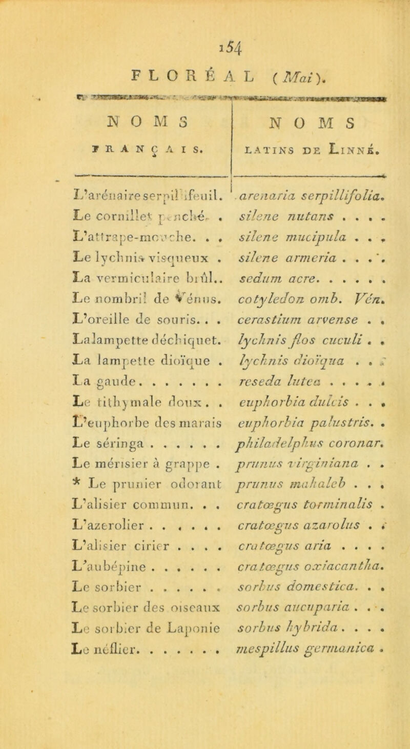 J 54 FIOKÉAt ( Mai). r. vy N O M 3 FRANÇAIS. L’aréiiaireserpil rfeuil. Le cornille* * r . riche,- . L’atfrape-moeche. . , Le 1 y ch ni a visqueux . La vermiculaire brûl.. Le nombril de Vénus. L’oreille de souris. . . Lalampette déchiquet. La lampeite dioïoue . La gaude Le tithjmale doux. . L’euphorbe des marais Le seringa Le merisier à grappe . * Le prunier odorant L’alisier commun. . . L'azerolier L’alisier cirier . . . . L\aubépine Le sorbier Le sorbier des oiseaux Le sorbier de Laponie Le néflier NOMS latins de Linné. arenaria serpillifolia. silene nutans . . . . silene mucipula . . . silene armcria . . sedurn acre cotylédon omb. Ven. cerastium arvense . . lyclinis flos cuculi . . lychnis dioïqua . . réséda lutea . . . . . euphorbia duïcis . . . euphorbia palustris. . philadelphus coronar. prunus TÎrginiana . . prunus nia h a le b . . . cratœgus torminalis . cratœgus azarolus . crut ce mis aria . . . . c? cra tœsus oxiacan th a. sorbus do me s tic a. . . sorbus aucuparia . . . sorbus hybrida .... mespillus germanica .