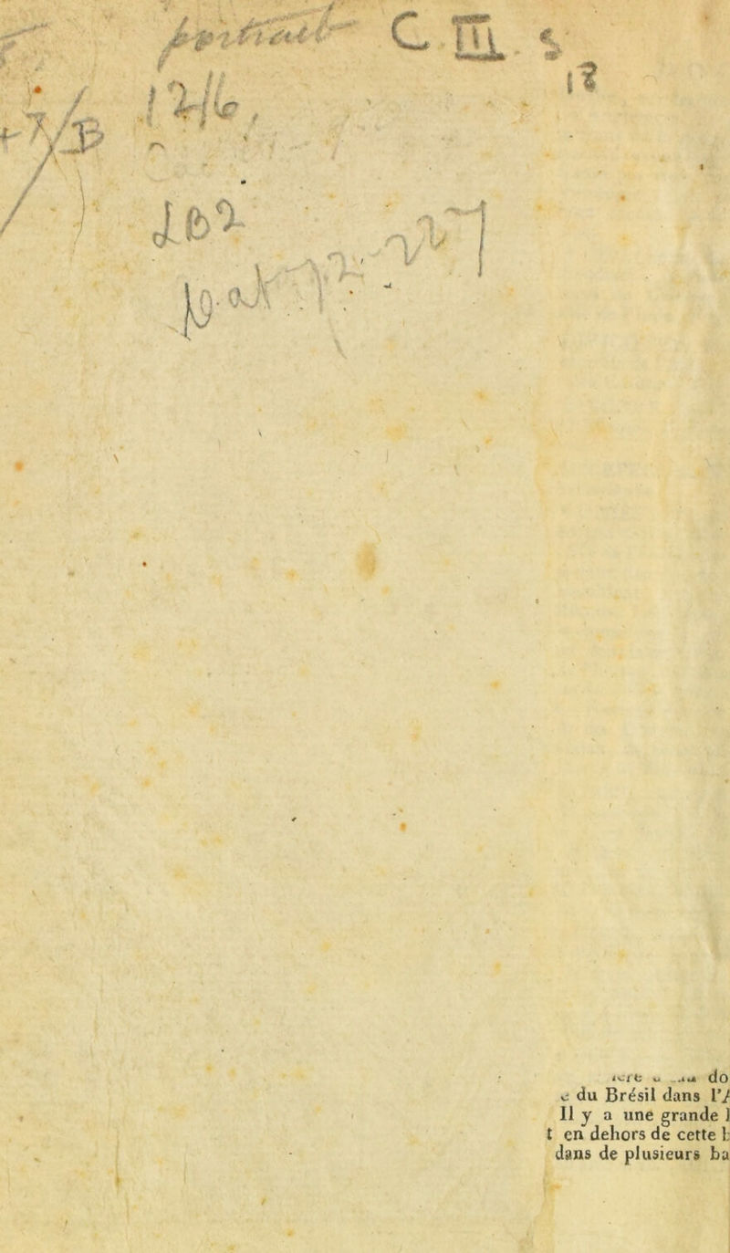 # I o ..m do du Brésil dans IV 11 y a une grande J t en dehors de cette 1; dans de plusieurs ba
