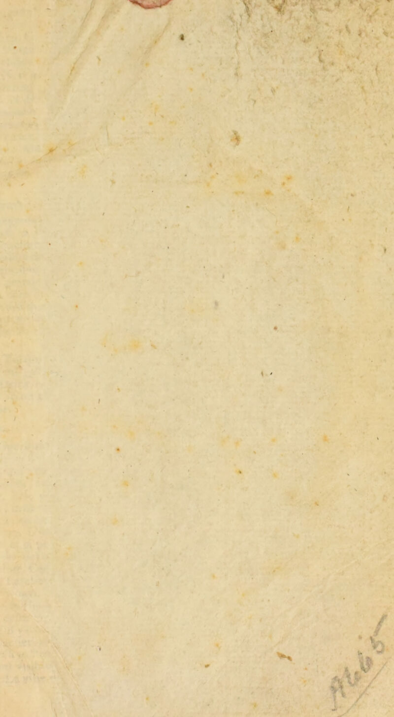 . . / > i' t. ■ , ' ■ ■■ * V > * * * * I * • • , ' .• fvV I /