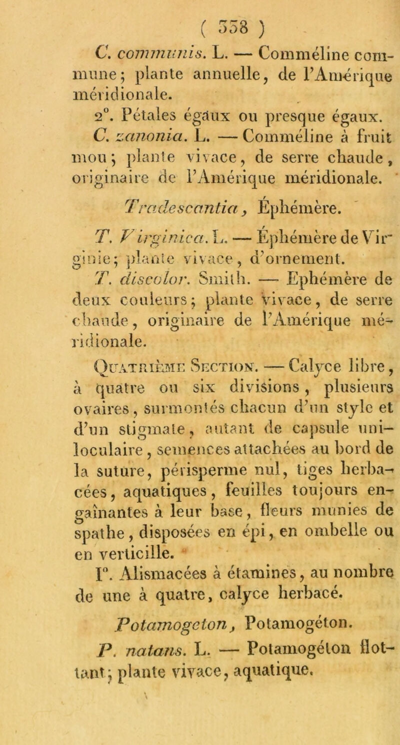 ( 358 ) a communia. L. — Comméline com- mune; plante annuelle, de l’Amérique méridionale. 2°. Pétales égaux ou presque égaux. C. zctnonia. L. — Comméline à fruit mou; plante vivace, de serre chaude, originaire de l’Amérique méridionale. Trcidescantia > Éphémère. T. Virgin ica. L. — Éphémère de Fir gi nie; pla nt e vi v ace , d’orn ement. T. discolor. Smith. — Ephémère de deux couleurs; plante vivace, de serre chaude, originaire de l’Amérique mé- ridionale. Quatrième Section. —Calyce libre, à quatre ou six divisions, plusieurs ovaires, surmontés chacun d’un style et d’un stigmate, autant de capsule uni- loculaire , semences attachées au bord de la suture, périsperme nul, tiges herba^ cées, aquatiques, feuilles toujours en- gainantes à. leur base, fleurs munies de spathe, disposées en épi, en ombelle ou en verticille. F. Alismacées à étamines, au nombre de une à quatre, calyce herbacé. Potamogeton, Potamogéton. P. natans. L. — Polamogélon flot— tant; plante vivace, aquatique.