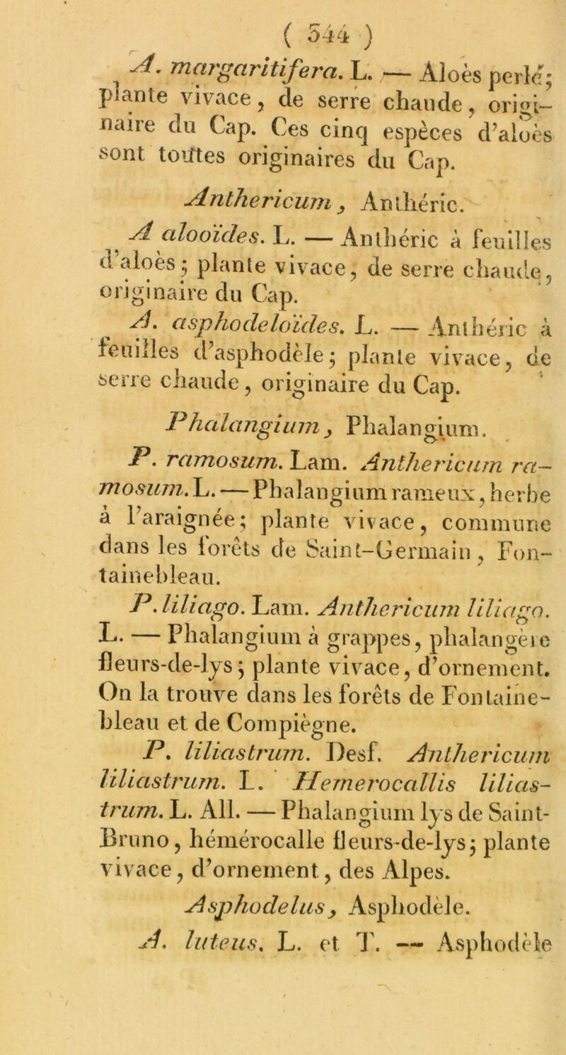 , A- margaritifera.L. — Aloès perle; plante vivace, de serre chaude, origi- naire du Cap. Ces cinq espèces d’aloès sont tomes originaires du Cap. Anthericum, Anlhéric. , A alooides. L. — Anlhéric à feuilles d aloès ; plante vivace, de serre chaude, originaire du Cap. vd. asphodeloides. L. — Anlhéric à touilles d’asphodèle ; plante vivace, de serre chaude, originaire du Cap. Phalangium, Phalangium. P. ramosum. Lam. Anthericum ra- mosum. L. — Phalangi uni rameux, herbe à l’araignée; plante vivace, commune dans les lorêts de Saint-Germain , Fon- tainebleau. P.liliago. Lam. Anthericum liliago. L- — Phalangium à grappes, phalangère fleurs-de-lys; plante vivace, d’ornement. On la trouve dans les forêts de Fontaine- bleau et de Compiègne. P. liliastrum. Desf. Anthericum liliastrum. L. Hemerocallis lilias- trum. L. Ail. — Phalangium lys de Saint- Bruno, hémérocalle Heurs-de-lys; plante vivace, d’ornement, des Alpes. Asphodelus > Asphodèle. A. luteus. L. et T. — Asphodèle