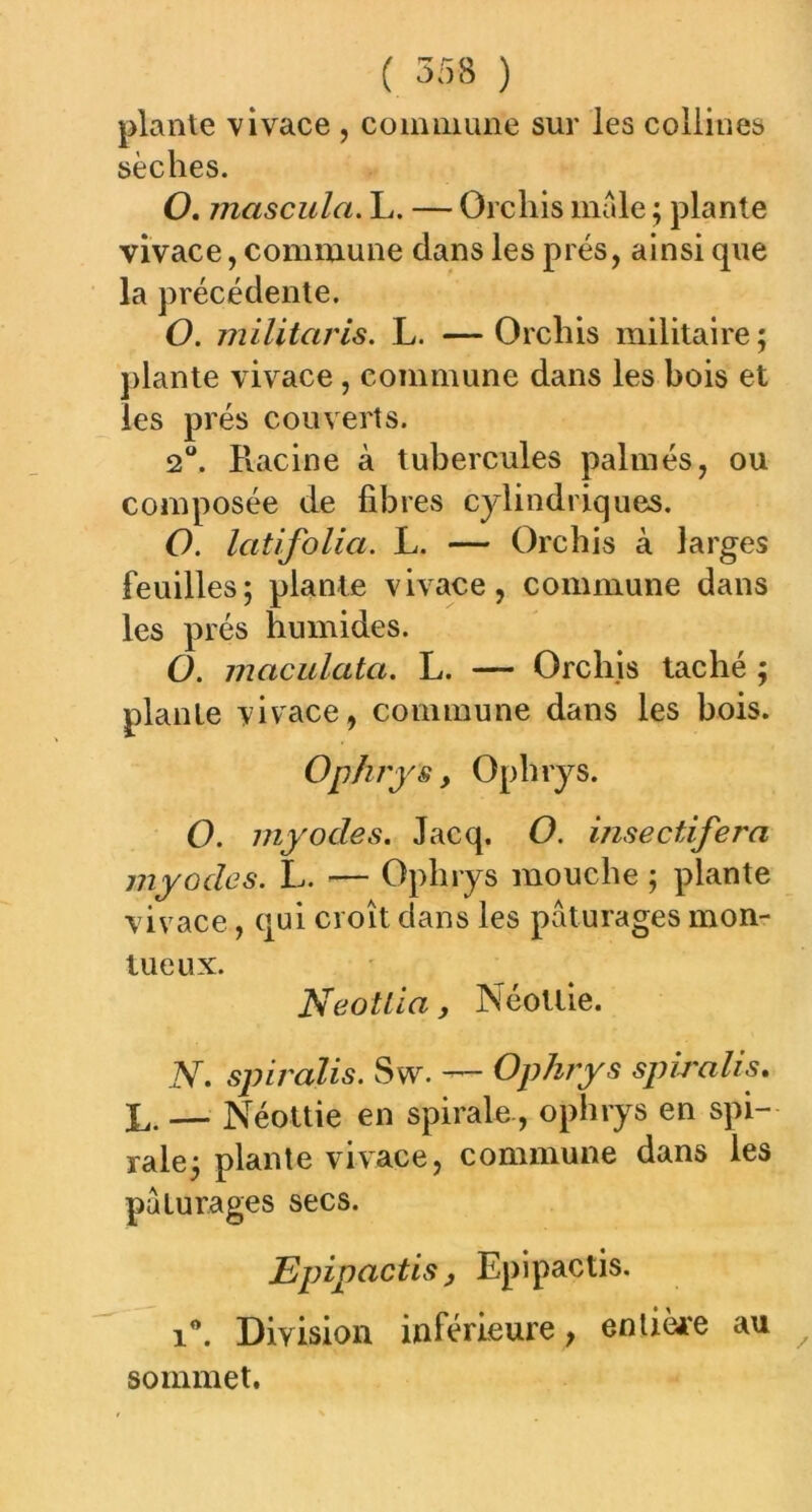 plante vivace , commune sur les collines sèches. O. mascula. L. — Grcliis male ; plante vivace, commune dans les prés, ainsi que la précédente. O. militciris, L. — Orchis militaire ; plante vivace , commune dans les bois et les prés couverts. 2°. Racine à tubercules palmés, ou composée de fibres cylindriques. O. Icitifolia. L. — Orchis à larges feuilles; plante vivace, commune dans les prés humides. O. maculata. L. — Orchis taché ; plante vivace, commune dans les bois. Ophrys y Ophrys. O. myodes. Jacq. O. insectifera myodes. L. — Ophrys mouche; plante vivace, qui croît dans les pâturages mon- lueux. NeotLia, Néottie. N. spiralis. Sw. — Ophrys spiralis. L. — Néottie en spirale., ophrys en spi- rale; plante vivace, commune dans les pâturages secs. Epipactis y Epipactis. i°. Division inférieure, entière au sommet.