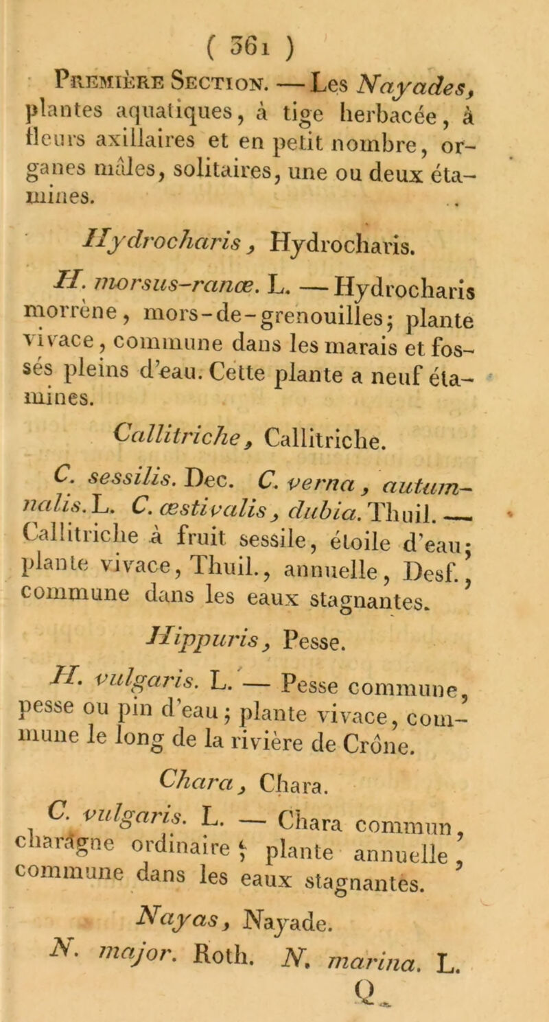 Première Section. —Les Nayades, plantes aquatiques, à tige herbacée, à heurs axillaires et en petit nombre, or- ganes males, solitaires, une ou deux éta- mines. IIydrocharis , Hydrocharis. H. 77wrsus~ranæ. L. —Hydrocharis moi lene , mors —de — grenouilles j plante a ivace, commune dans les marais et fos- sés pleins d’eau. Cette plante a neuf éta- mines. Callitriche , Cal 1 itriche. C. sessihs. Dec. C. verna, autiun- 77cdis. L. C. œstivalis, dubia. Tlmil. Cal ht riche à fruit sessile, étoile d’eau* plante vivace, Thuil., annuelle, Desf. ’ commune dans les eaux stagnantes. Hippuris9 Pesse. II. vulgaris. L. — Pesse commune pesse ou pin d’eau $ plante vivace, com- mune le long de la rivière de Crone. Char ci, Chara. C. vulgaris. L. — Chara commun, charogne ordinaire J plante annuelle, commune dans les eaux stagnantes. Nayas, Nayade. N' maJor- Roth. N. marina. L. Q-