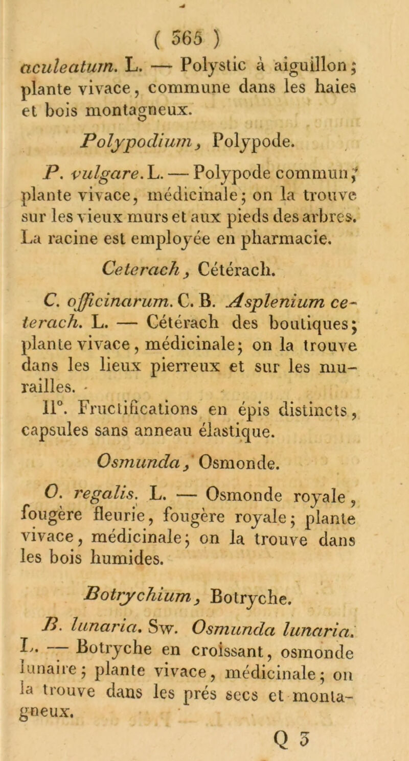 ciculeatum. L. — Polystic à aiguillon ; plante vivace, commune dans les haies et bois montagneux. Polypodium > Polypode. P. vulgare.L. — Polypode commun plante vivace, médicinale; on la trouve sur les vieux murs et aux pieds des arbres. La racine est employée en pharmacie. Ceterach > Cétérach. C. ojjicincirum. C. B. Asplénium ce- terach. L. — Cétérach des boutiques; plante vivace, médicinale; on la trouve dans les lieux pierreux et sur les mu- railles. * 11°. Fructifications en épis distincts, capsules sans anneau élastique. Osmunda / Osmonde. O. regalis. L. — Osmonde royale , fougère fleurie, fougère royale; plante vivace, médicinale; on la trouve dans les bois humides. Botrychium, Botryche. B. lunaria. Sw. Osmunda lunaria. L. — Botryche en croissant, osmonde ninaiie ; plante vivace, médicinale; on la trouve dans les prés secs et monta- gneux.