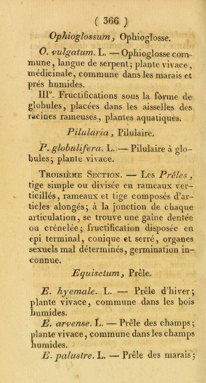 Ophioglossum > Ophioglosse. O. vulgatum. L. — Ophioglosse com- mune , langue de serpent; plante vivace, médicinale, commune dans les marais et prés humides. 111°. Fructifications sous la fdrme de globules, placées dans les aisselles des racines rameuses, plantes aquatiques. Pilularia , Pilulaire. « P. globulifera. L. — Pilulaire à glo- bules; plante vivace. Troisième Section. — Les Prêles, tige simple ou divisée en rameaux ver- ticillés, rameaux et tige composés d’ar- ticles alongés; à la jonction de chaque articulation, se trouve une gaine dentée ou crénelée; fructification disposée en épi terminal, conique et serré, organes sexuels mal déterminés, germination in- connue. Equisetum j Prêle. E. hyemale. L. — Prêle d’hiver; plante vivace, commune dans les bois humides. E. arvense. L. — Prêle des champs ; plante vivace, commune dans les champs humides. E. palustre. L. — Prêle des marais;